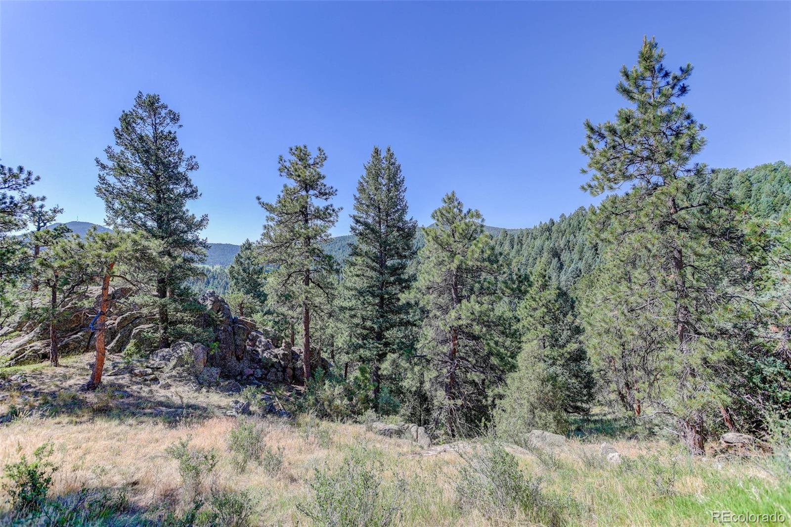 MLS Image #31 for 7263  silverhorn drive,evergreen, Colorado