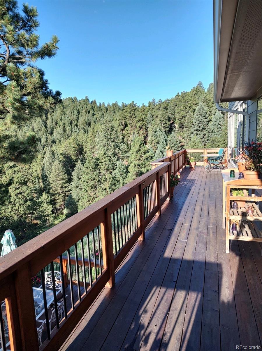 MLS Image #7 for 7263  silverhorn drive,evergreen, Colorado