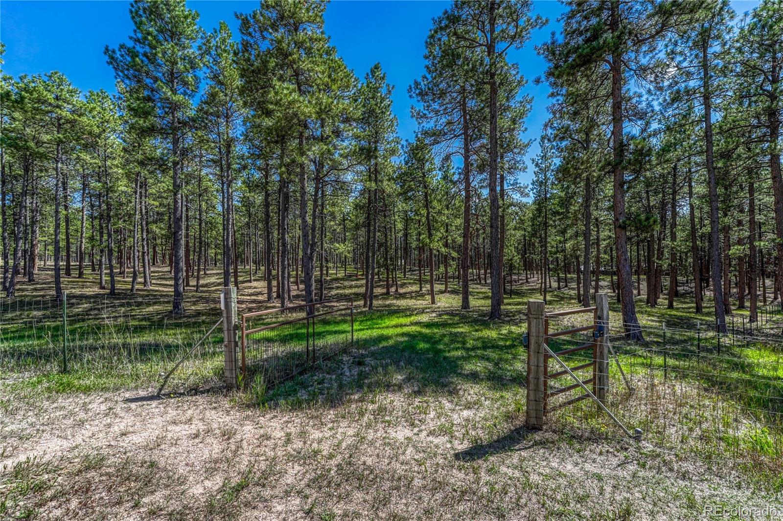 MLS Image #34 for 7485  shoup road,colorado springs, Colorado