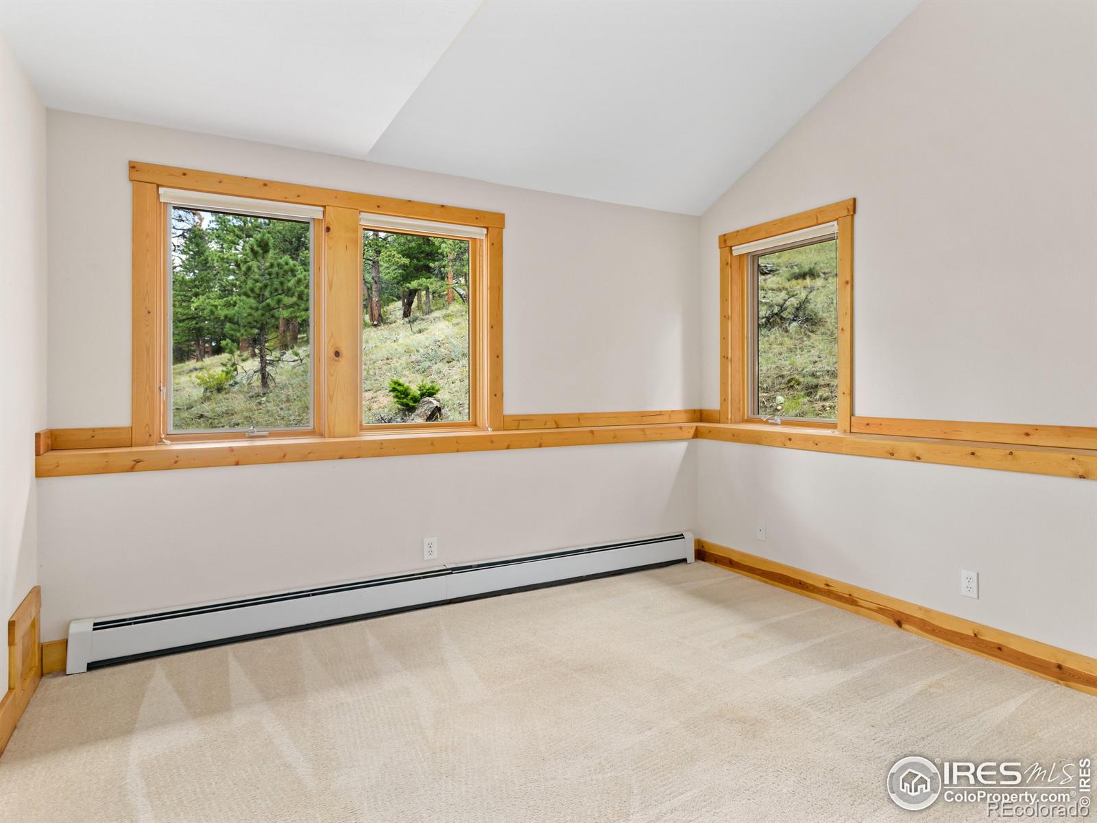 MLS Image #27 for 2035  uplands circle,estes park, Colorado