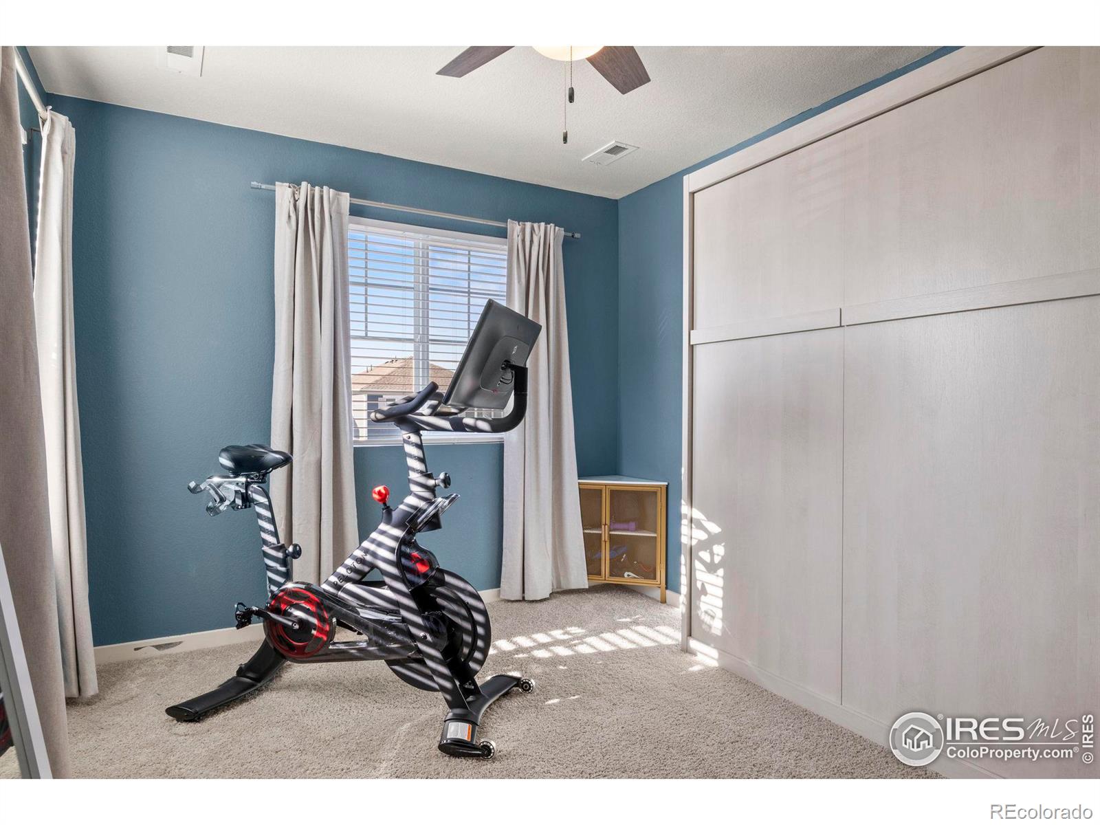 MLS Image #25 for 611  sawyers pond drive,severance, Colorado