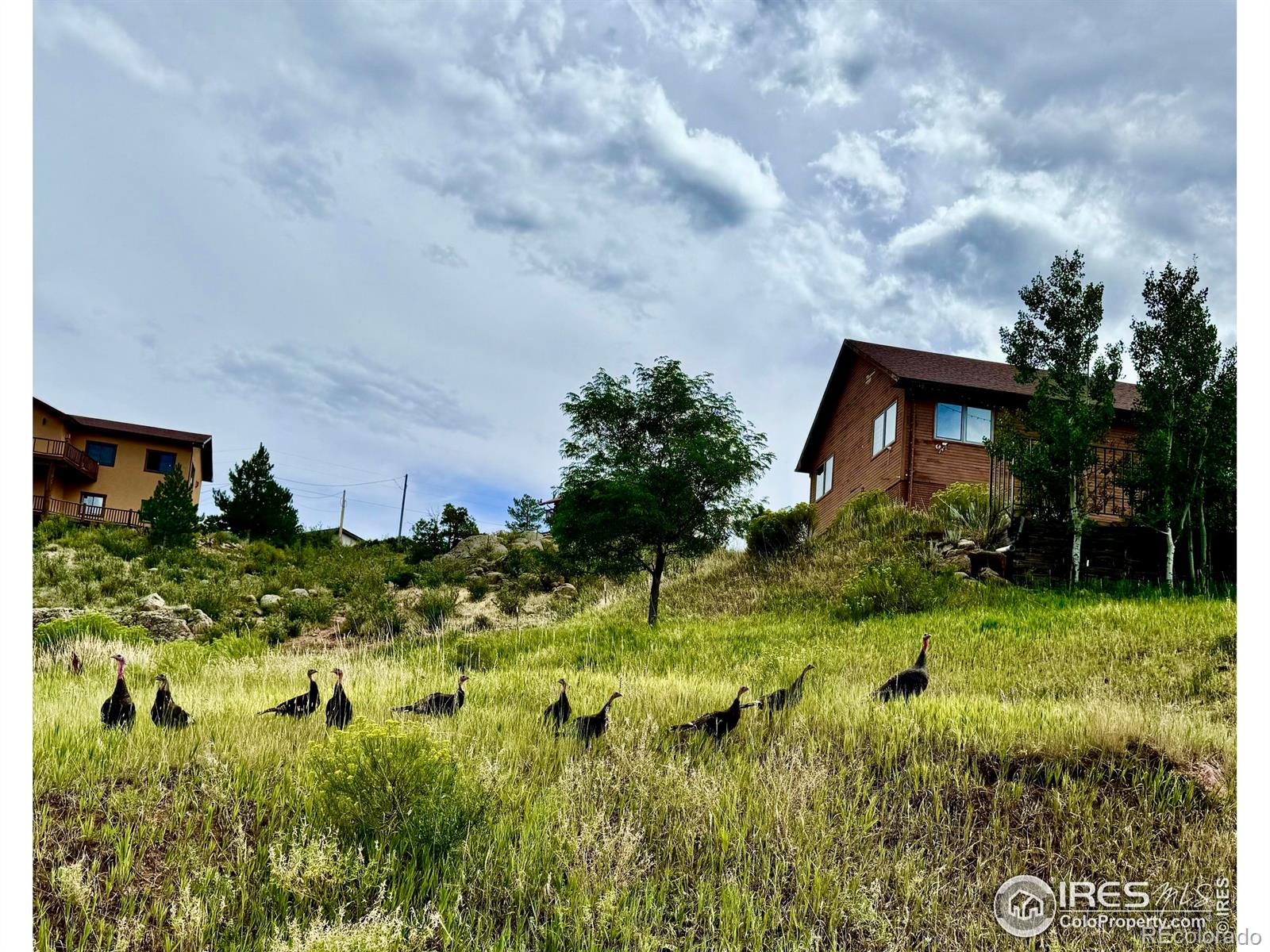 MLS Image #10 for 4908  hilltop drive,fort collins, Colorado