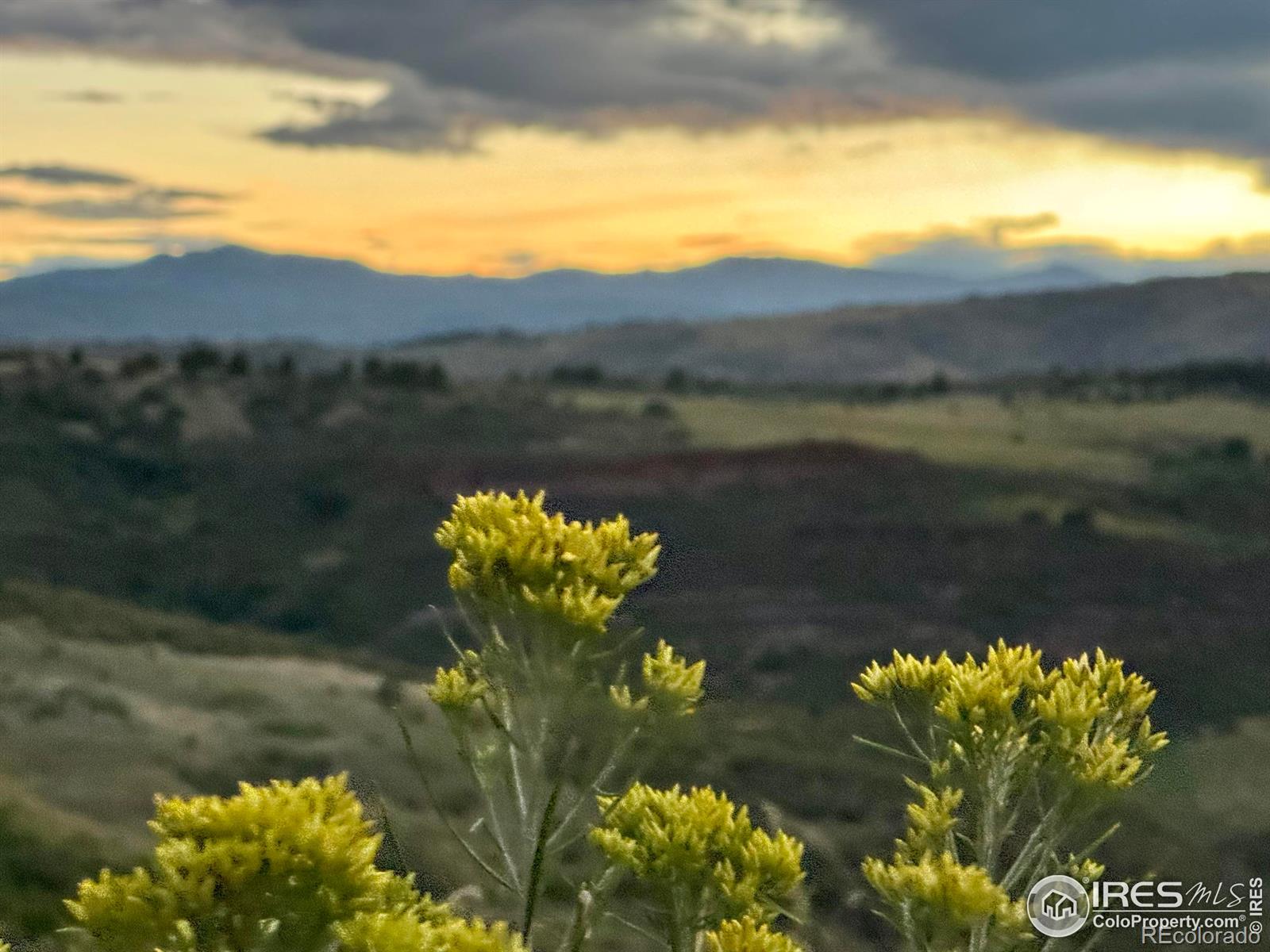 MLS Image #35 for 4908  hilltop drive,fort collins, Colorado