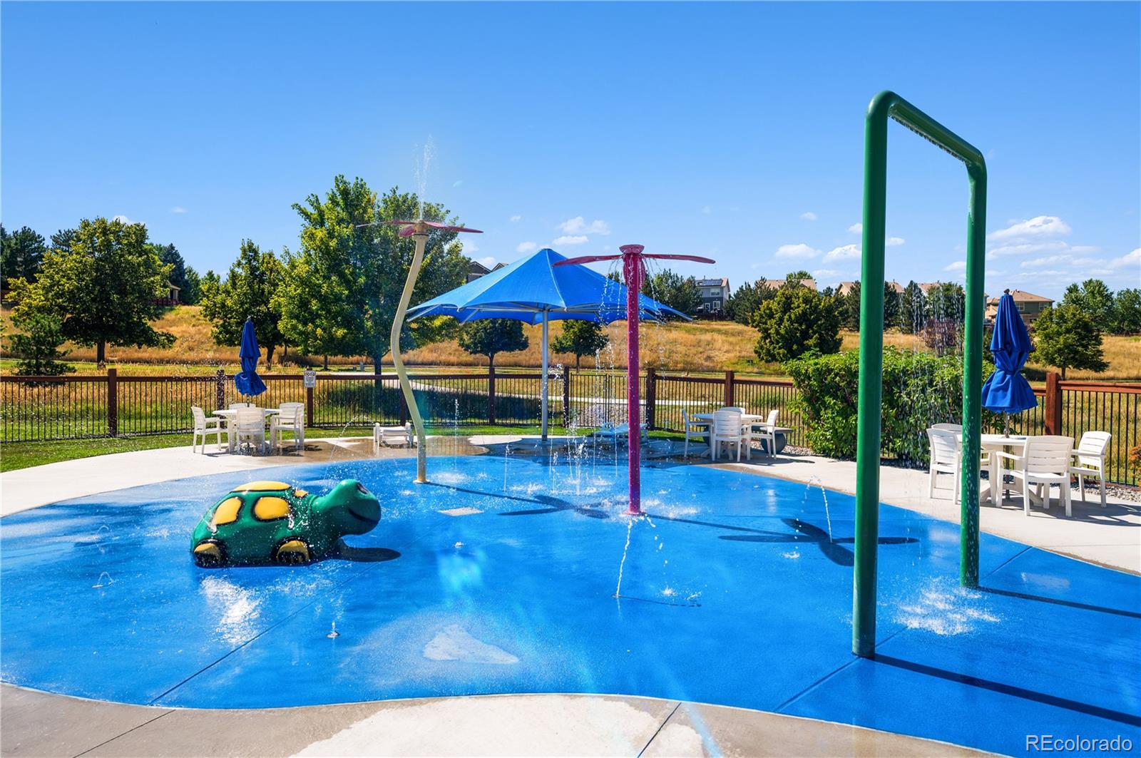 MLS Image #34 for 3179  dragonfly court,castle rock, Colorado