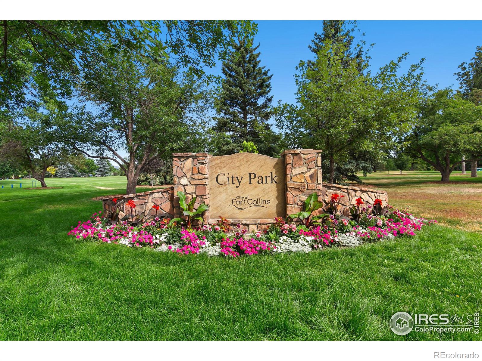 MLS Image #24 for 1201  broadview place,fort collins, Colorado