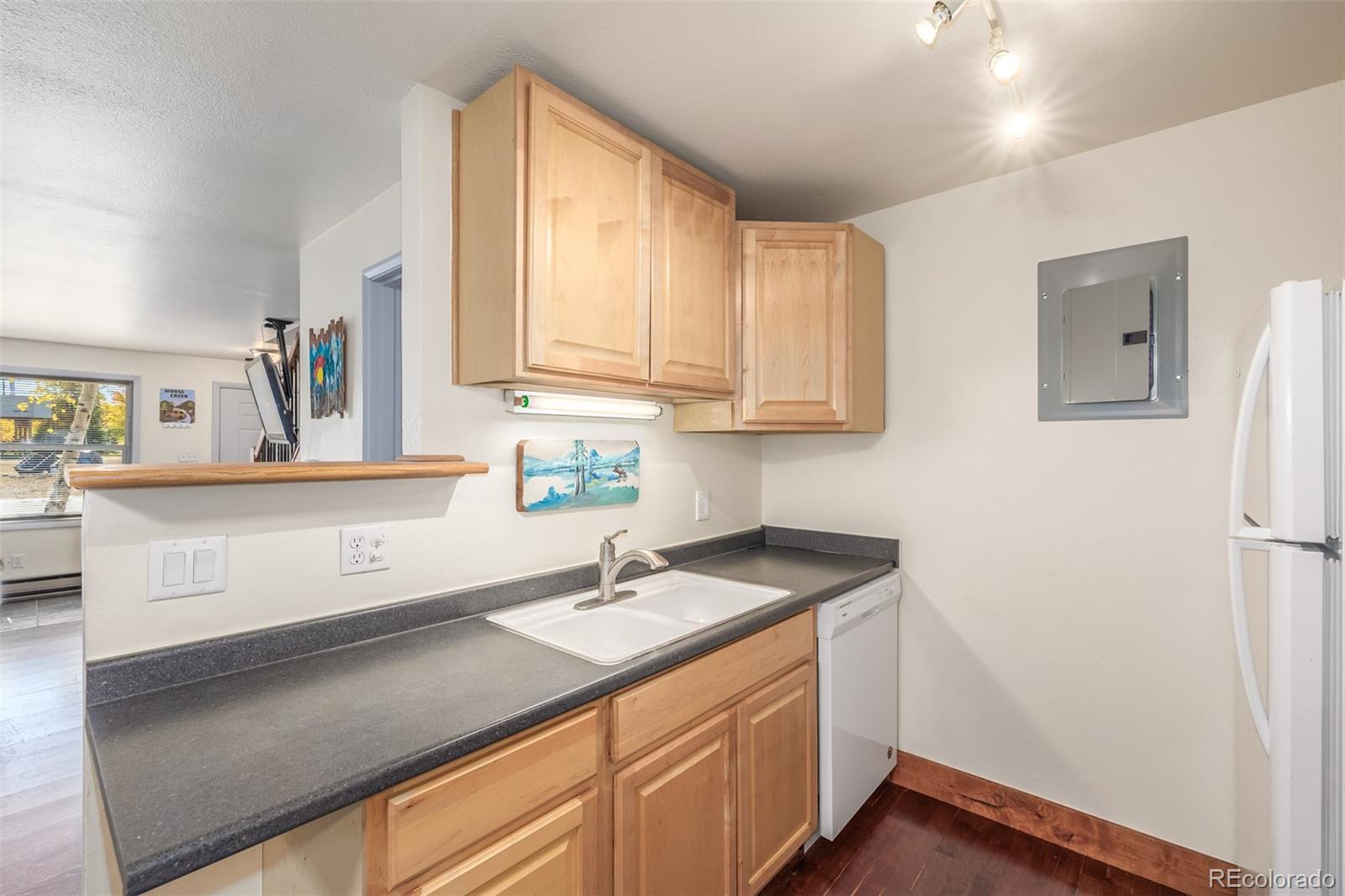 MLS Image #13 for 396  cove boulevard,dillon, Colorado