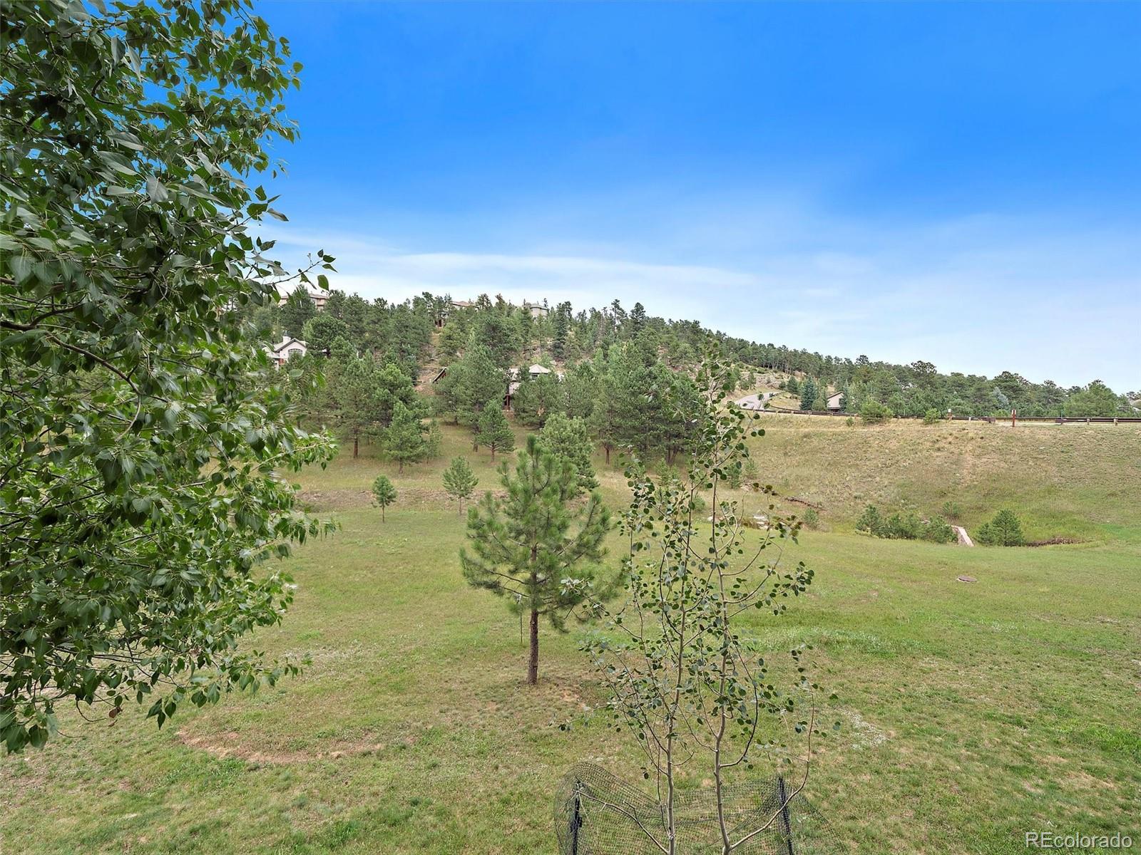 MLS Image #25 for 31465  forestland drive,evergreen, Colorado