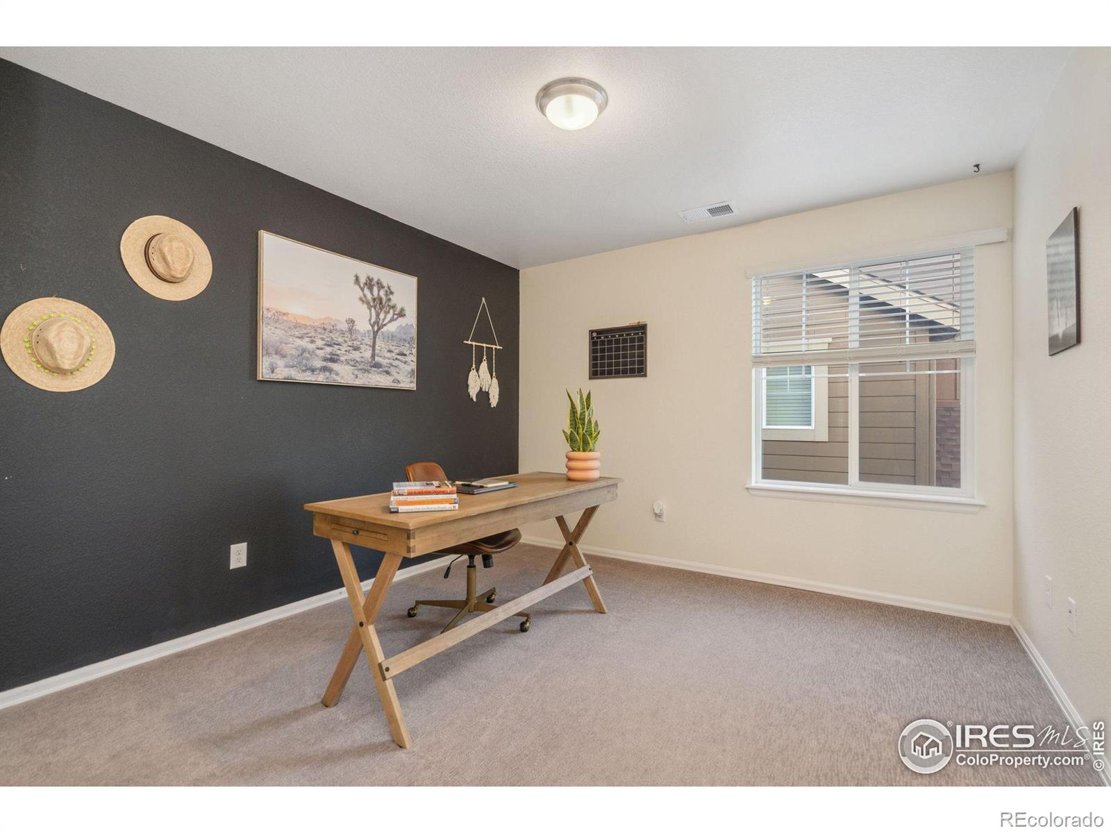 MLS Image #21 for 2909  reliant street,fort collins, Colorado