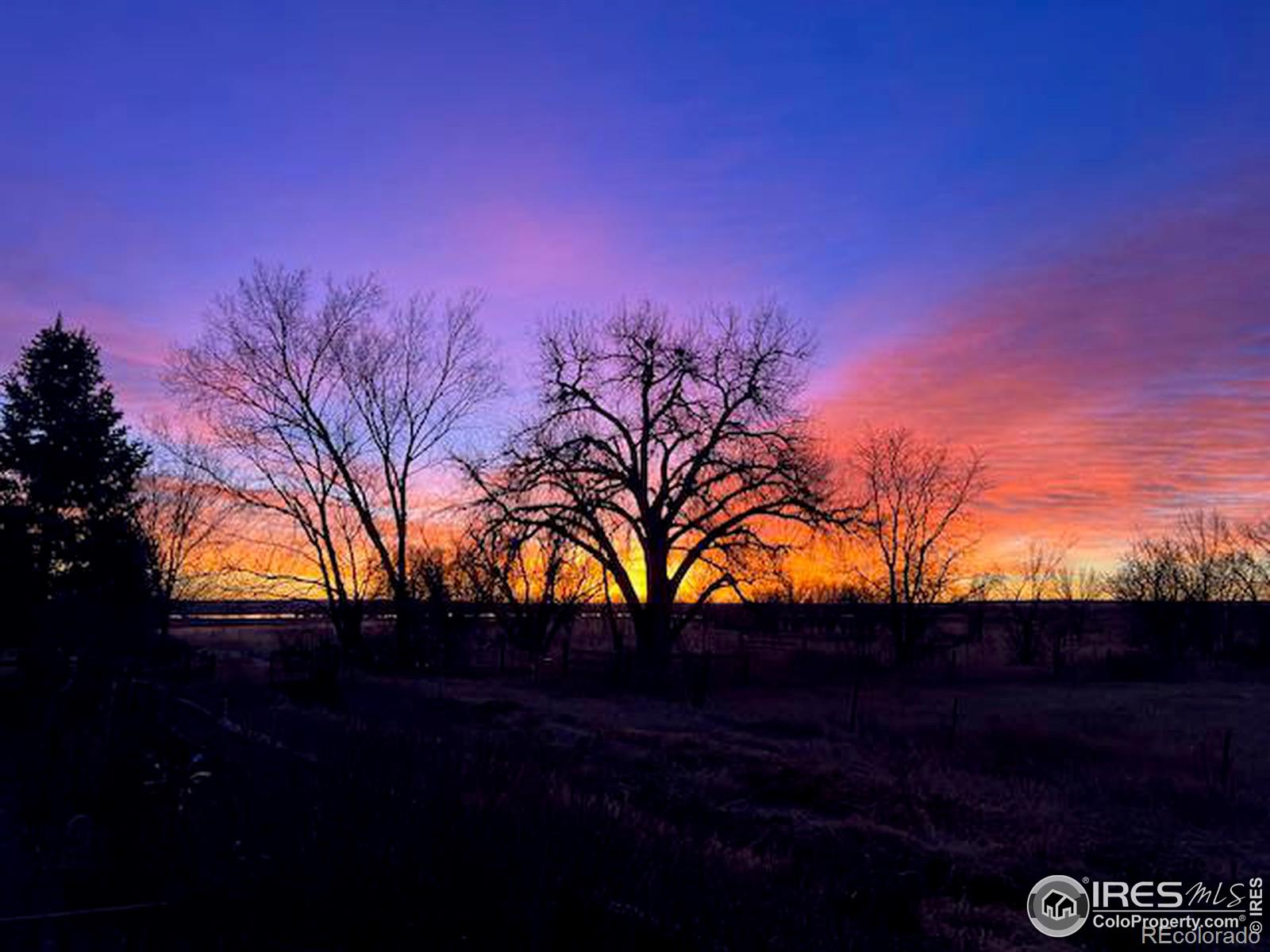 MLS Image #18 for 4300  pebble beach drive,longmont, Colorado