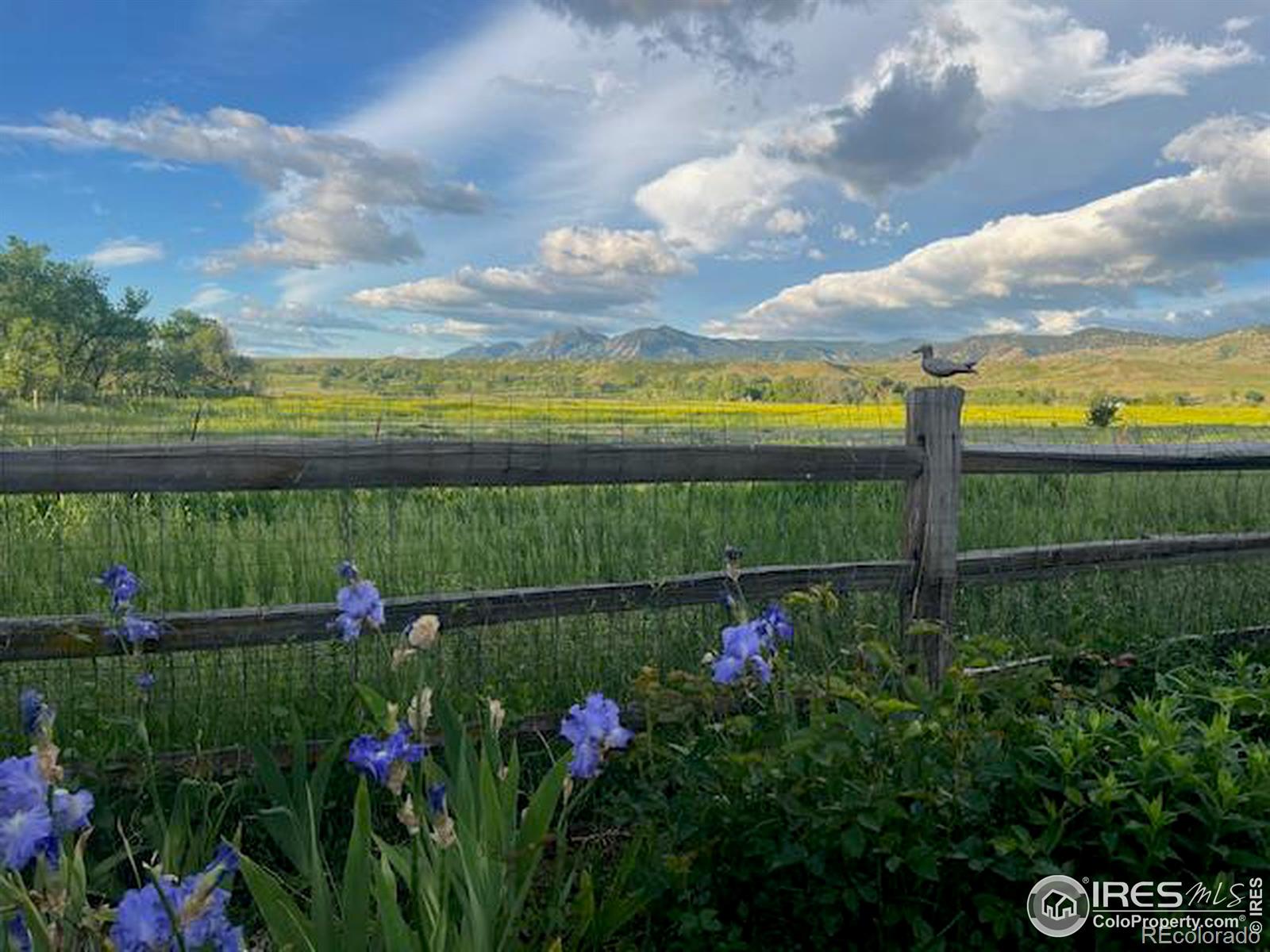 MLS Image #4 for 4300  pebble beach drive,longmont, Colorado