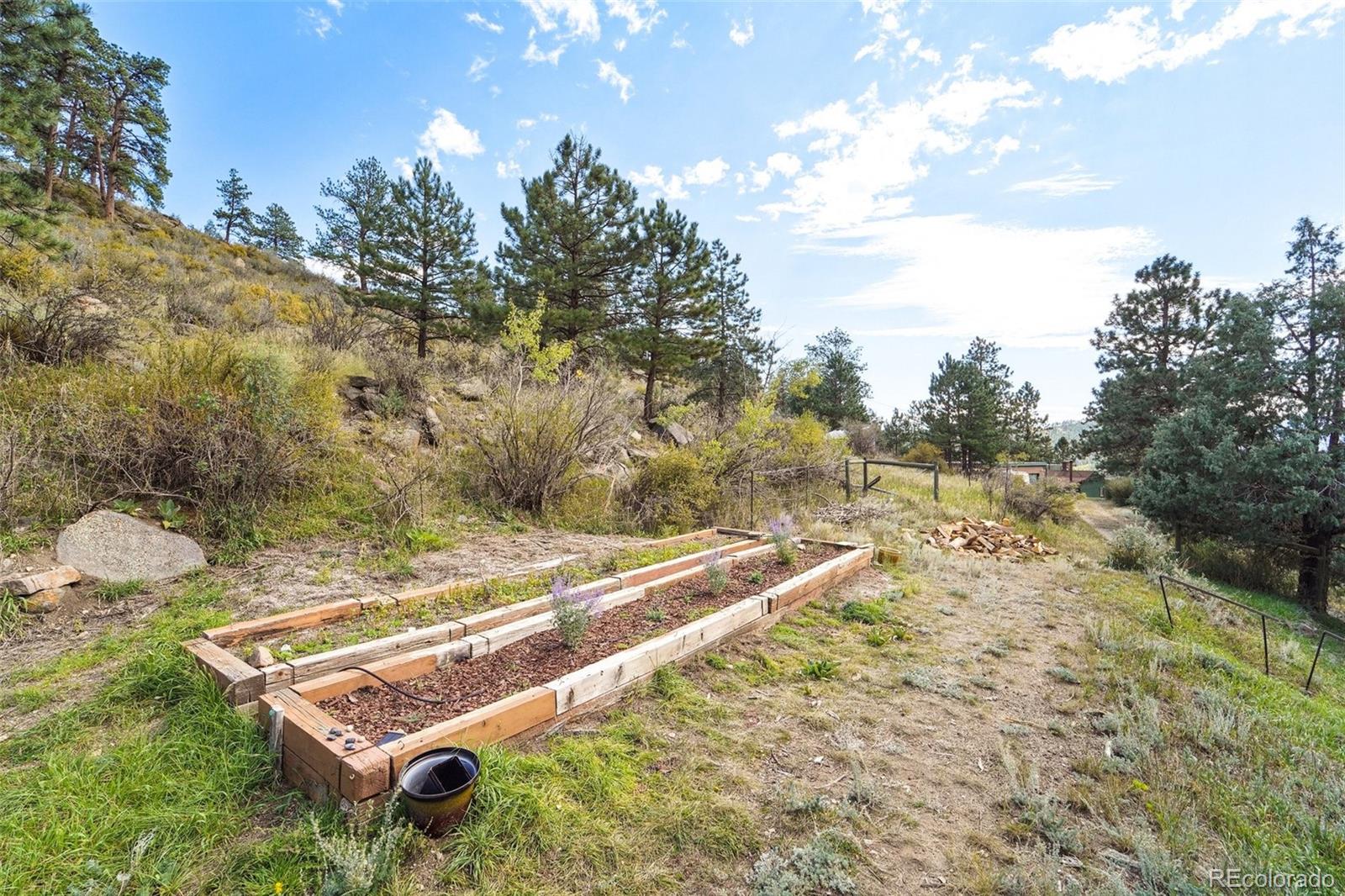 MLS Image #31 for 204  bob cat trail,bailey, Colorado