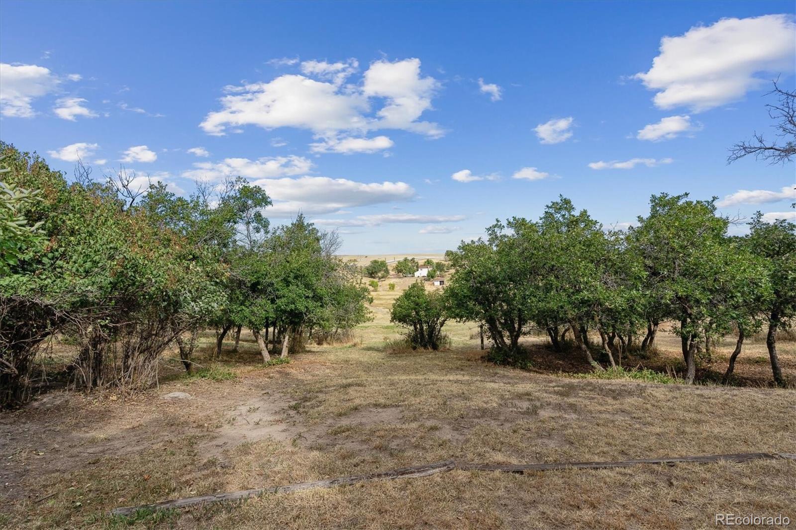 MLS Image #32 for 7439  cheyenne drive,sedalia, Colorado