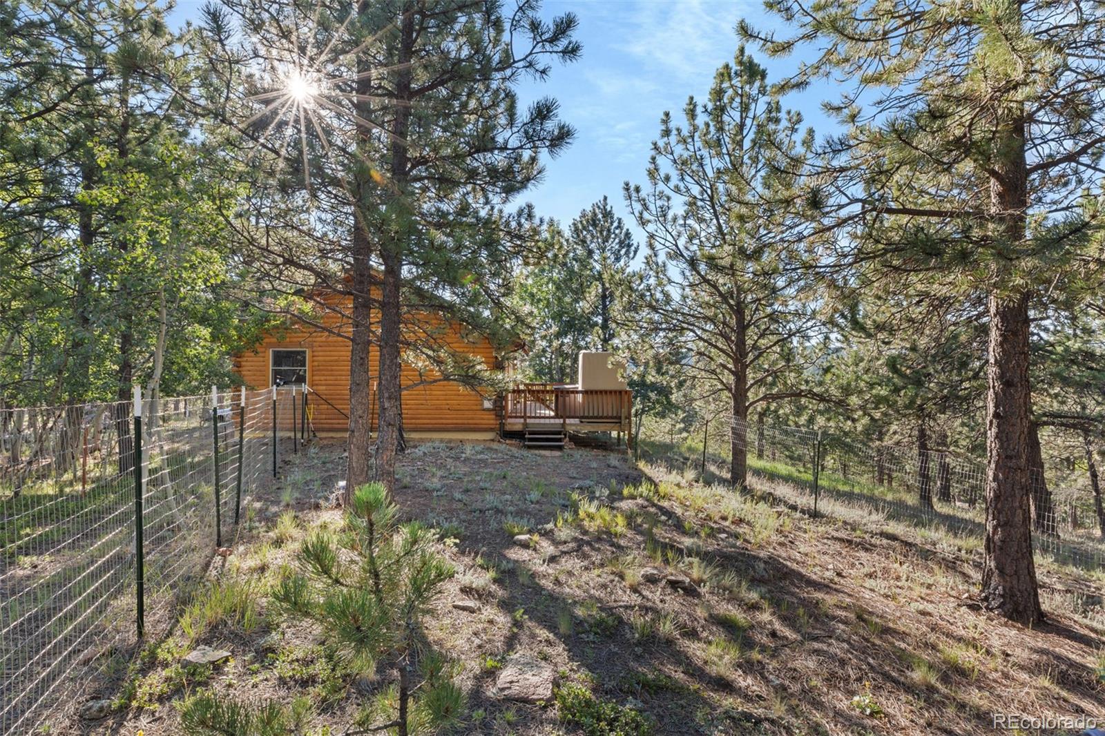 MLS Image #12 for 145  bandit lane,bailey, Colorado