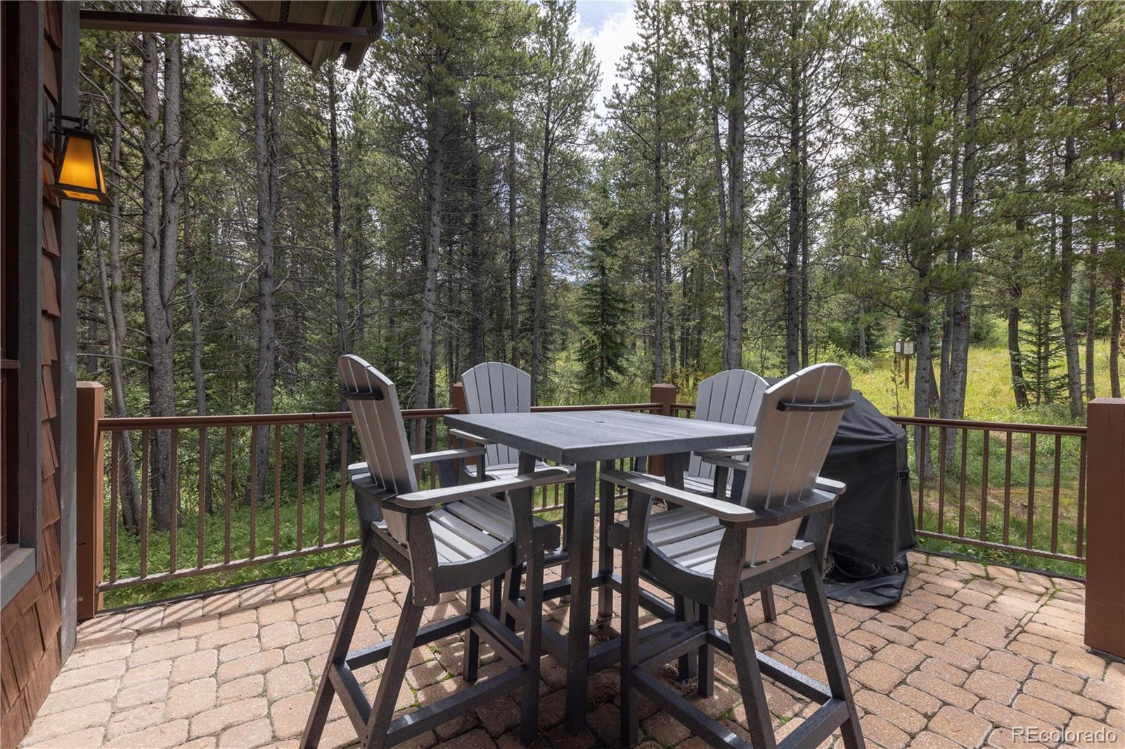 MLS Image #10 for 882  beeler place,frisco, Colorado