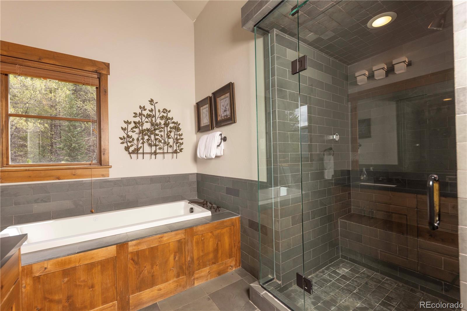 MLS Image #22 for 882  beeler place,frisco, Colorado