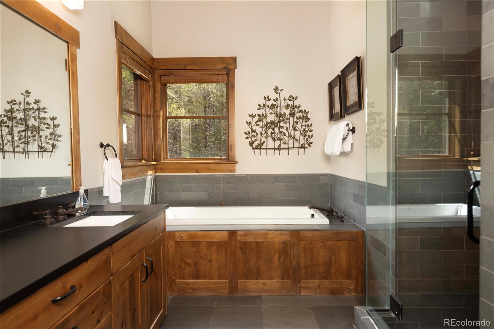 MLS Image #23 for 882  beeler place,frisco, Colorado