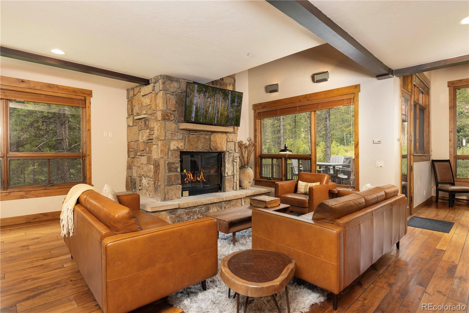 MLS Image #3 for 882  beeler place,frisco, Colorado