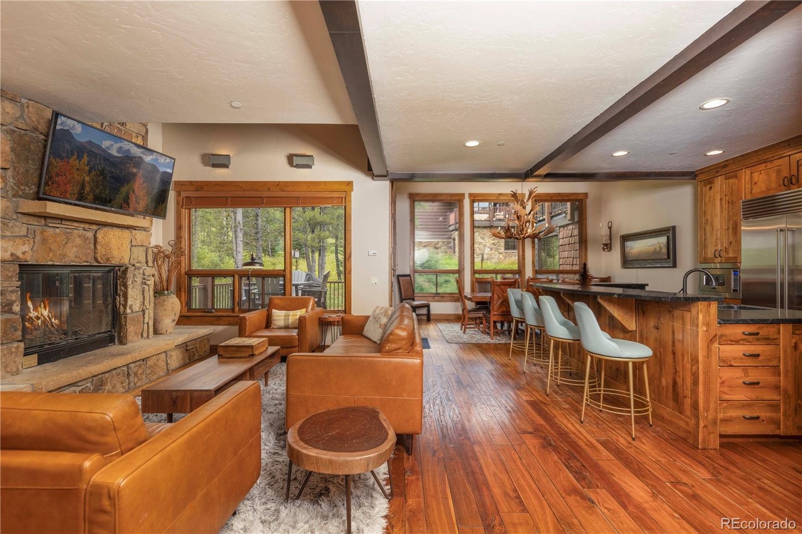 MLS Image #7 for 882  beeler place,frisco, Colorado