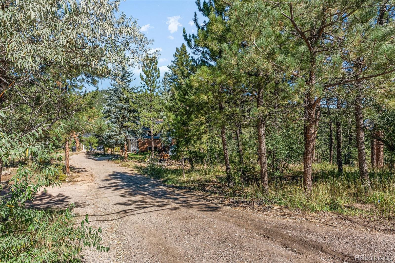 MLS Image #4 for 4400  independence trail,evergreen, Colorado