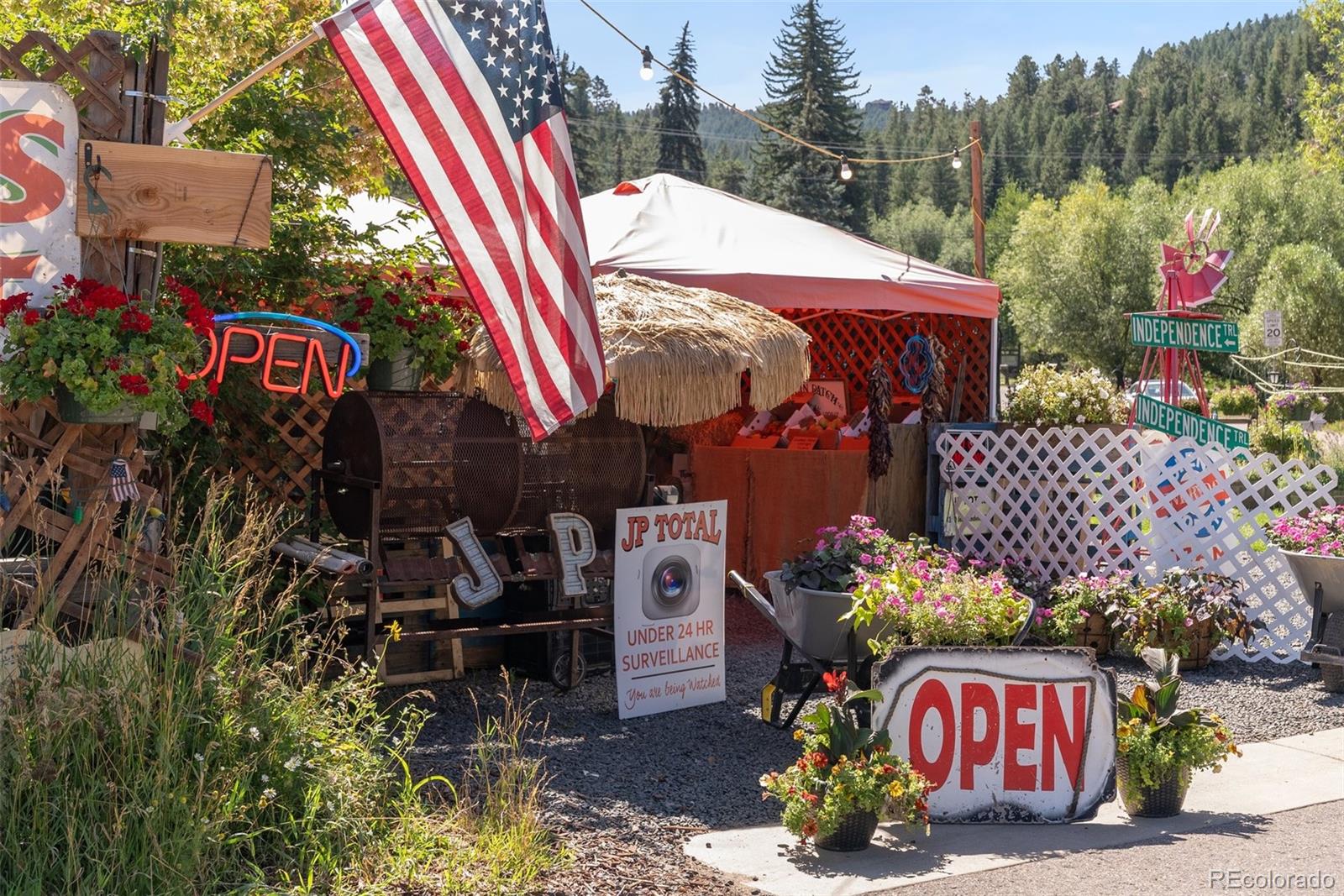 MLS Image #40 for 4400  independence trail,evergreen, Colorado