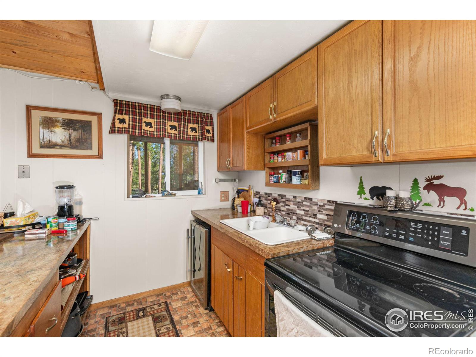 MLS Image #9 for 485  anderson lane,walden, Colorado