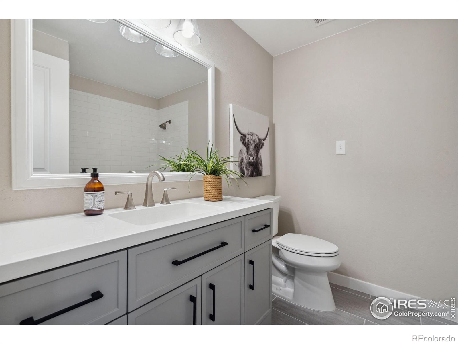 MLS Image #14 for 1816  estrella avenue,loveland, Colorado