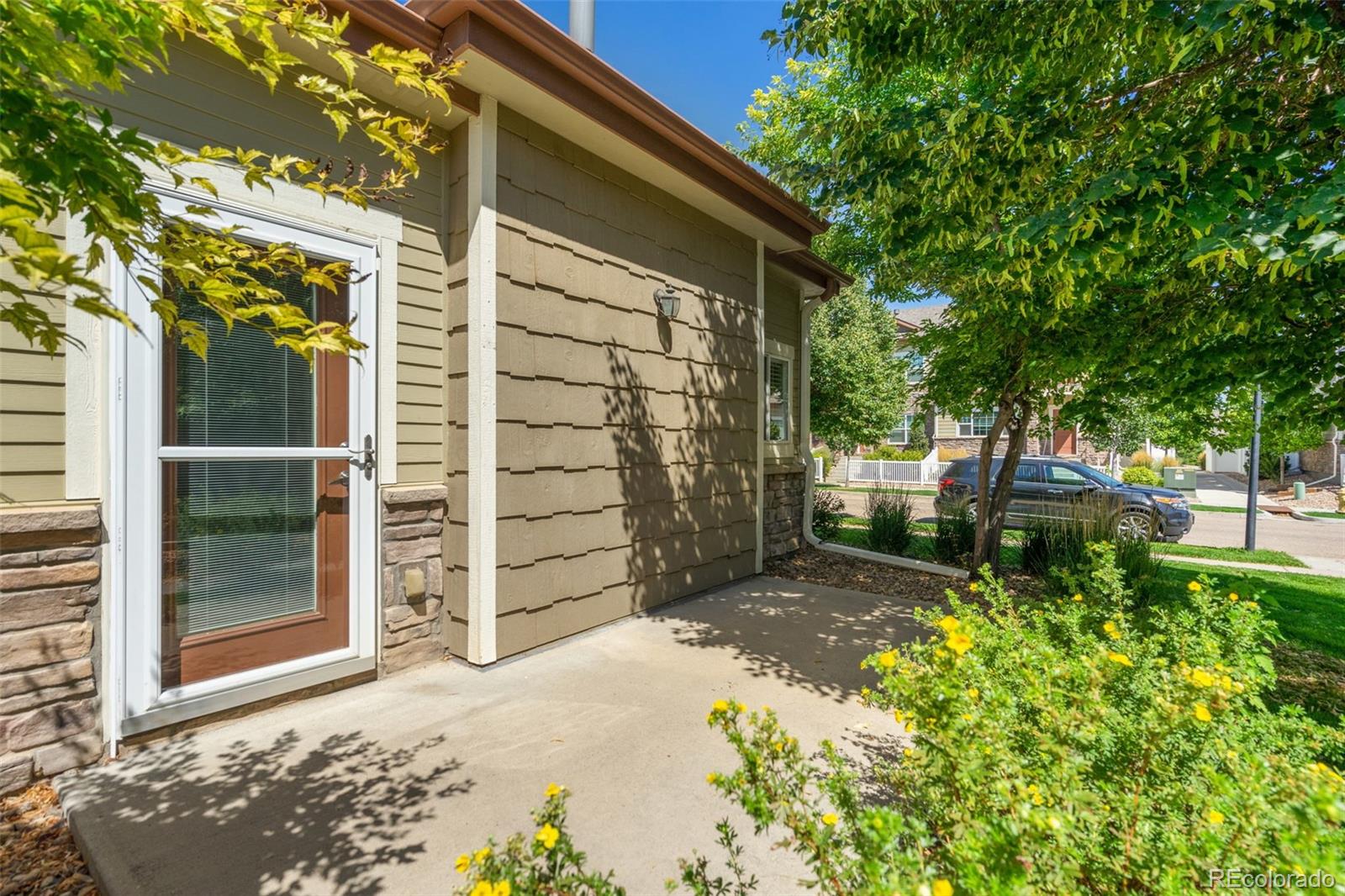 MLS Image #13 for 3903  precision drive,fort collins, Colorado