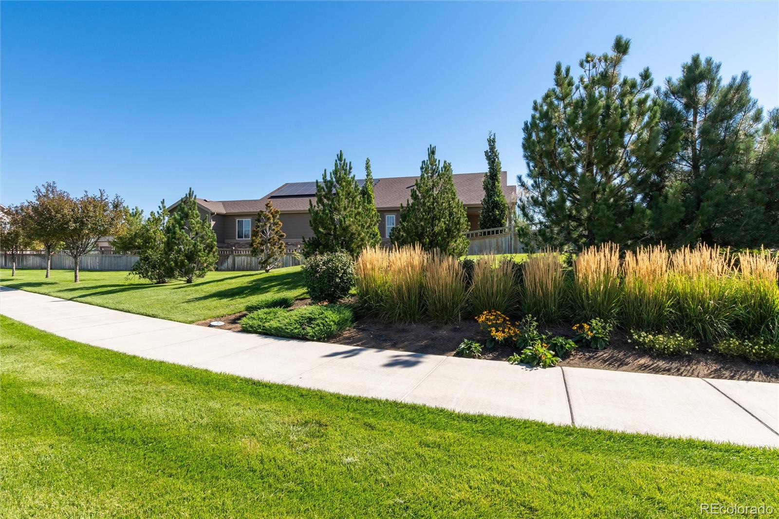 MLS Image #46 for 406  daylily street,brighton, Colorado