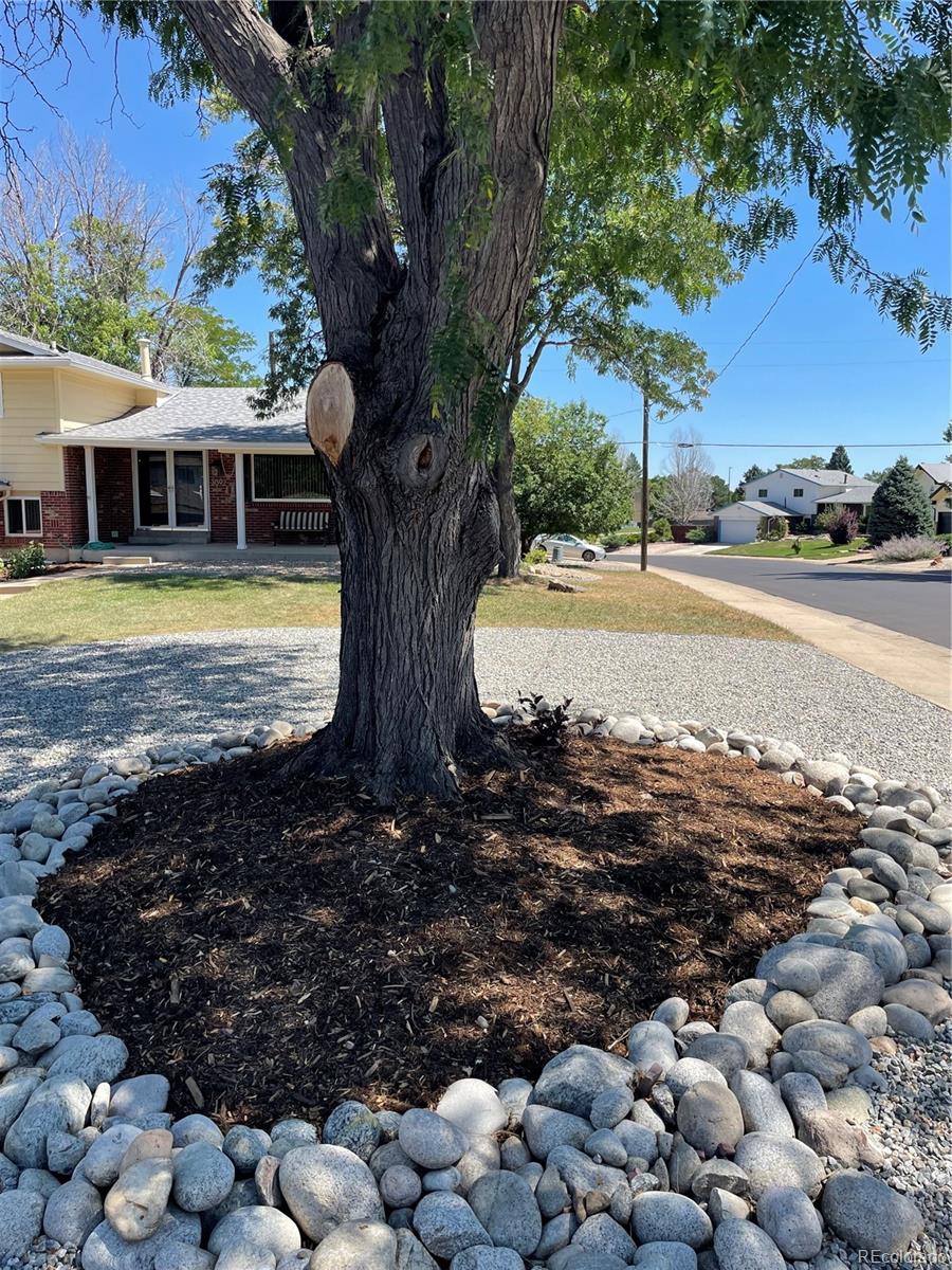 MLS Image #6 for 3092 s yarnell court,denver, Colorado