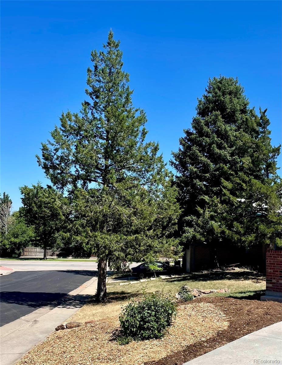 MLS Image #7 for 3092 s yarnell court,denver, Colorado