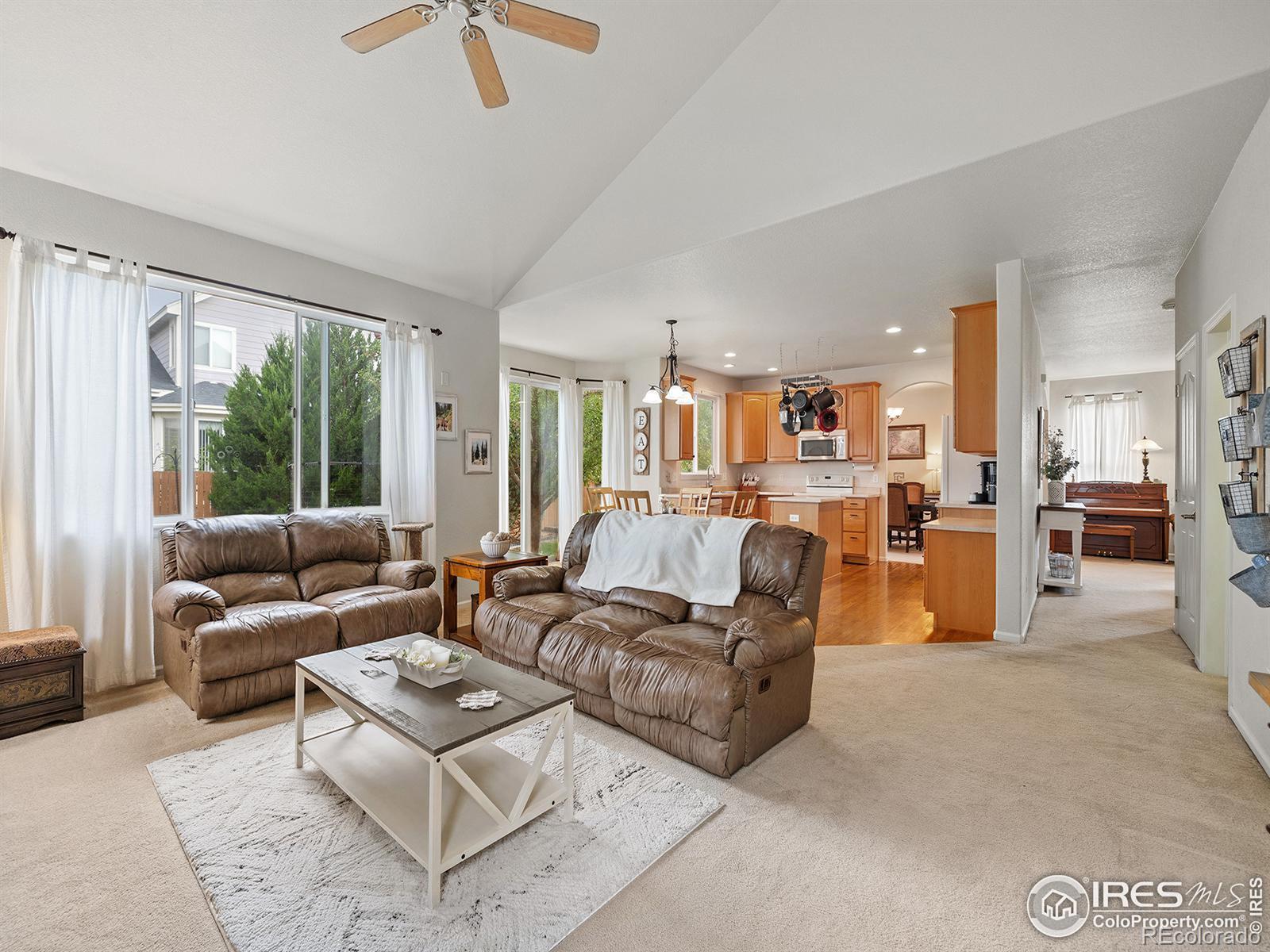 MLS Image #13 for 4379  mt princeton street,brighton, Colorado