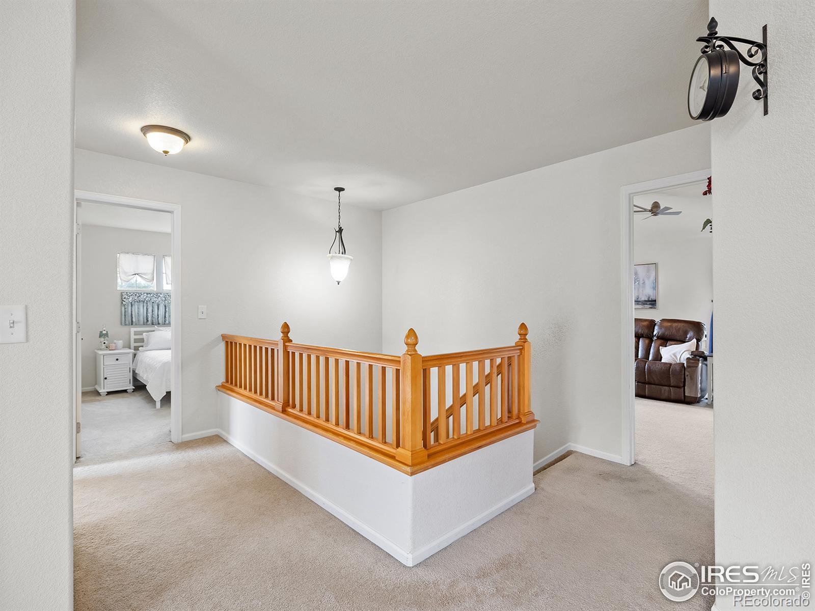 MLS Image #18 for 4379  mt princeton street,brighton, Colorado