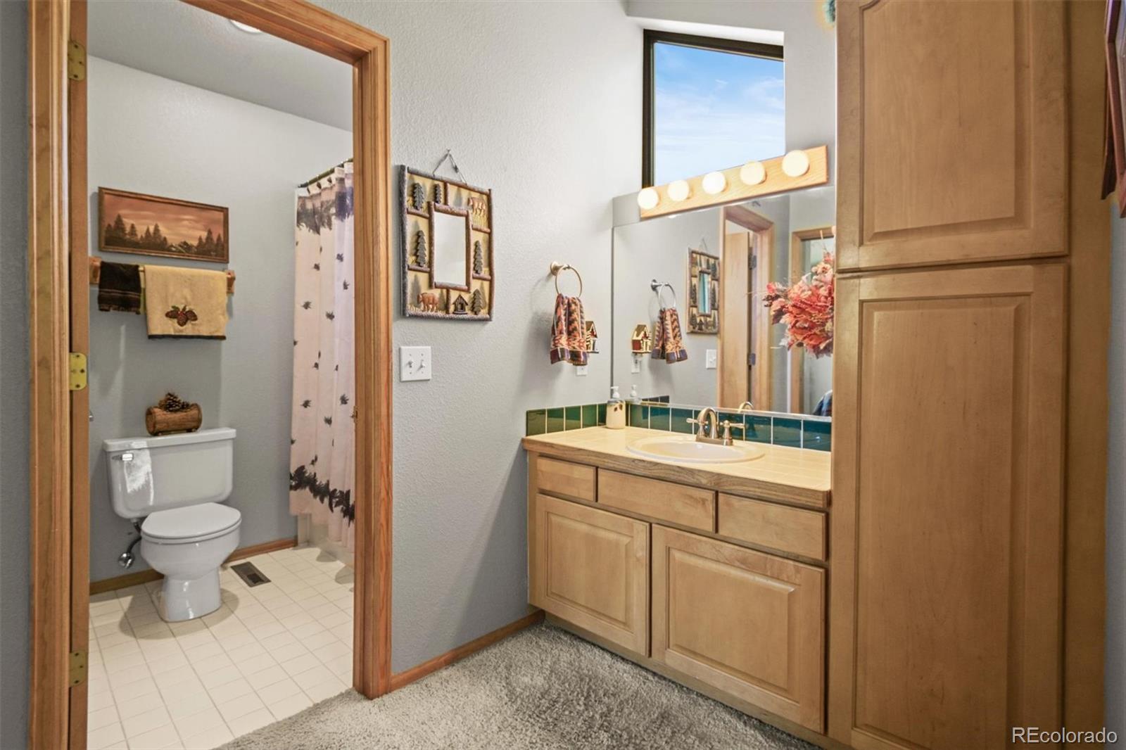 MLS Image #11 for 123  powder ridge drive,breckenridge, Colorado