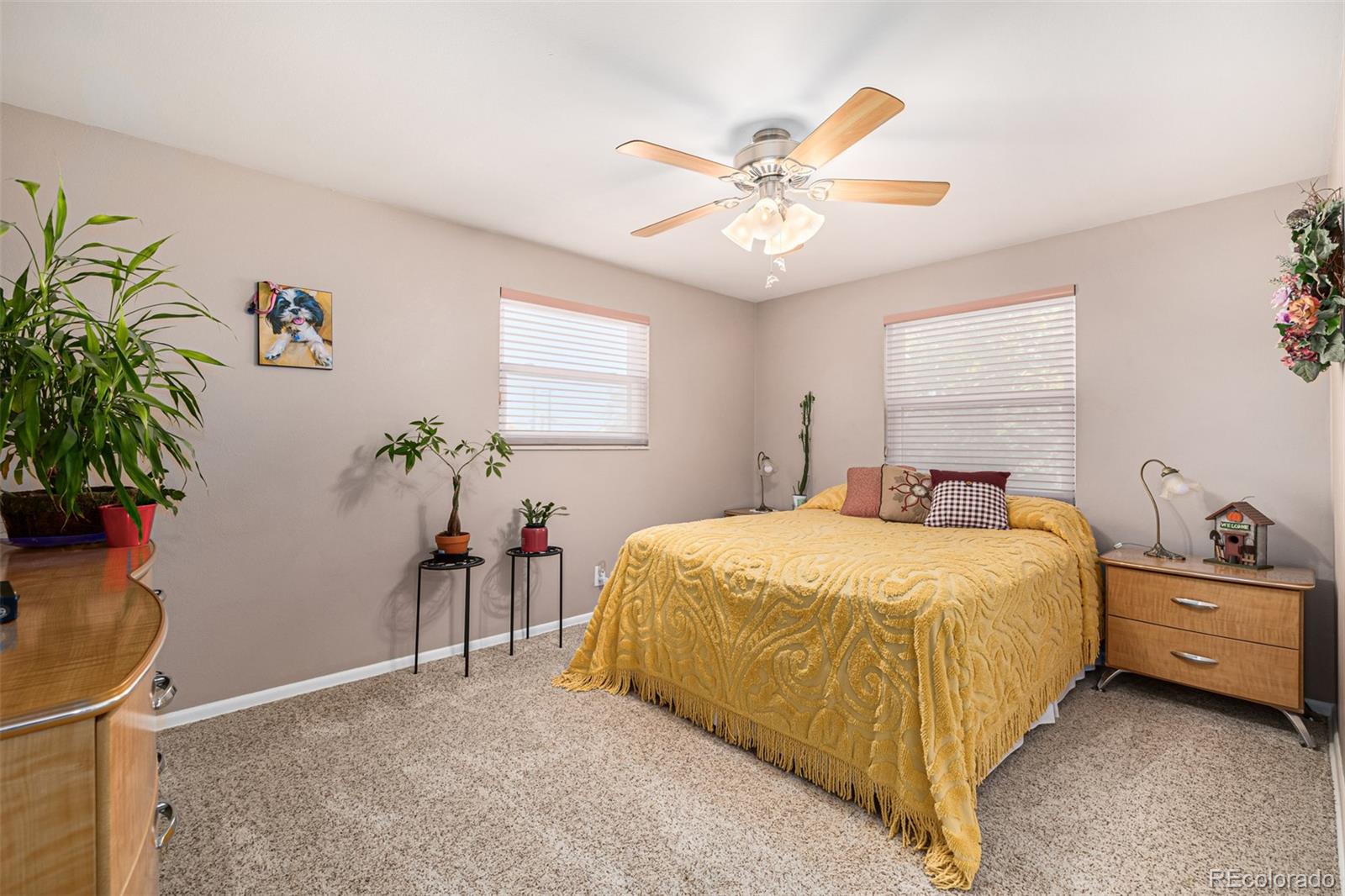 MLS Image #23 for 11951  irma drive,northglenn, Colorado