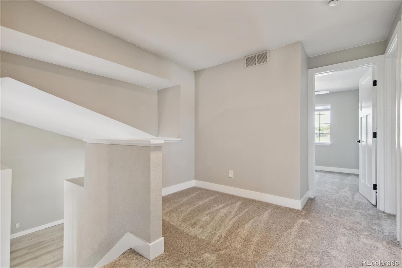 MLS Image #16 for 3125 e 94th drive,denver, Colorado