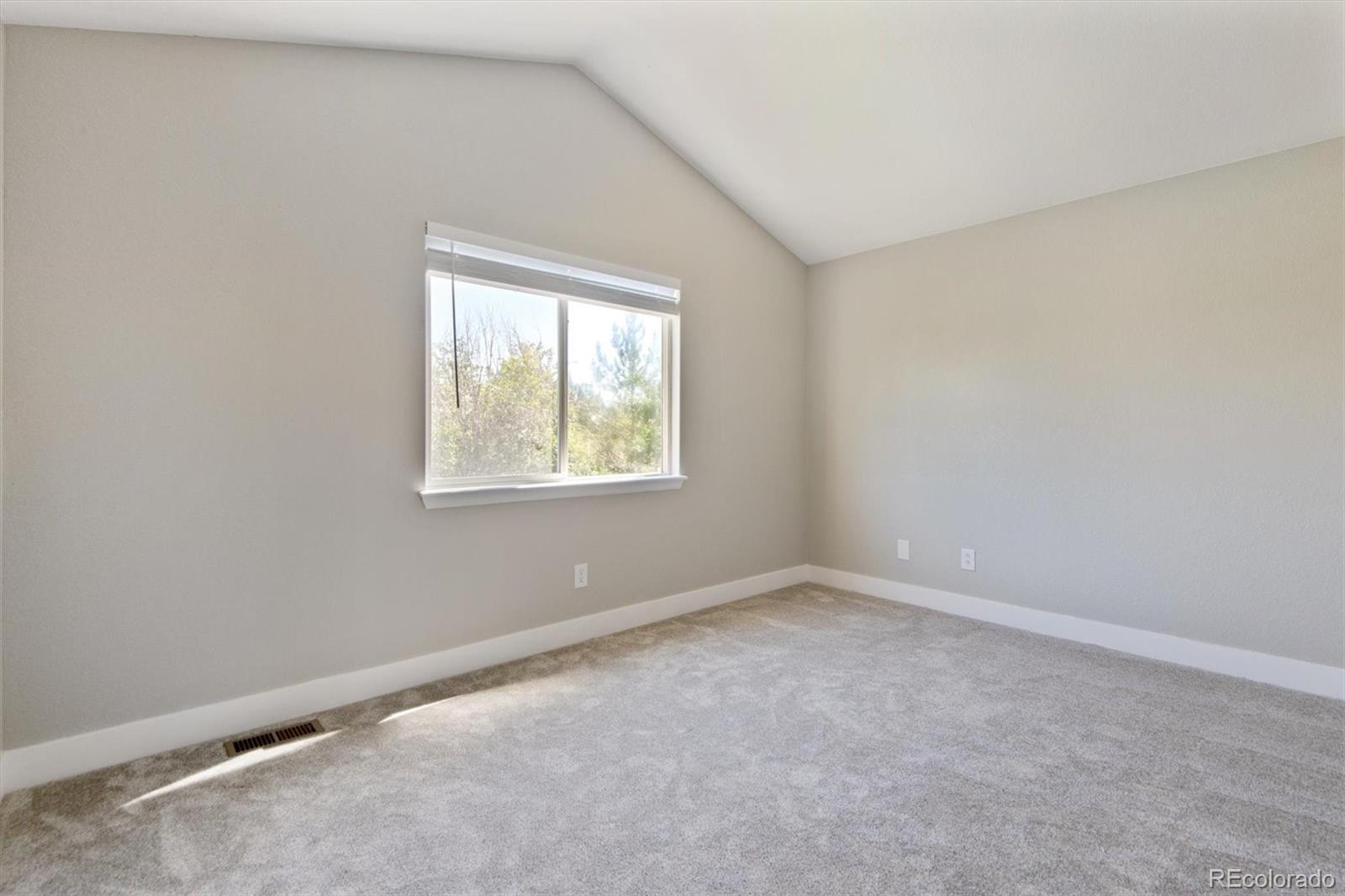 MLS Image #17 for 3125 e 94th drive,denver, Colorado