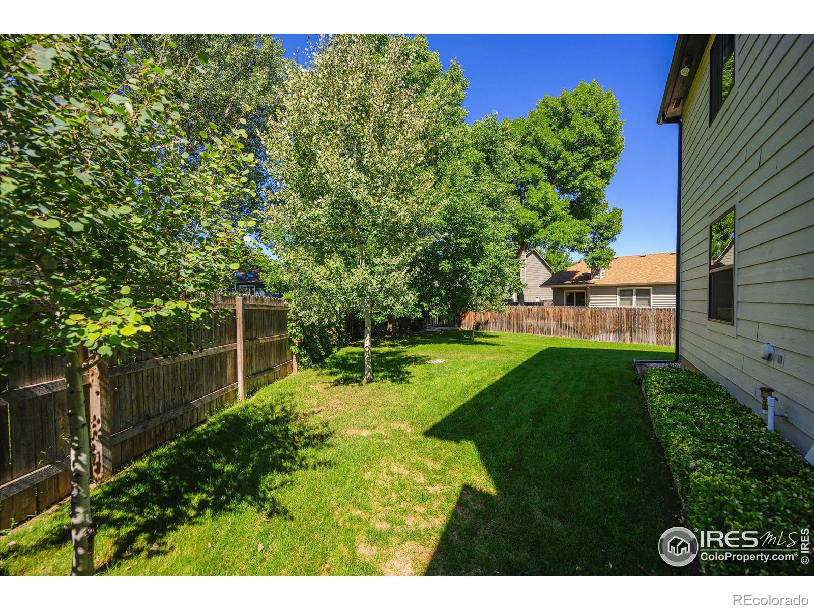 MLS Image #32 for 3502  omaha court,fort collins, Colorado