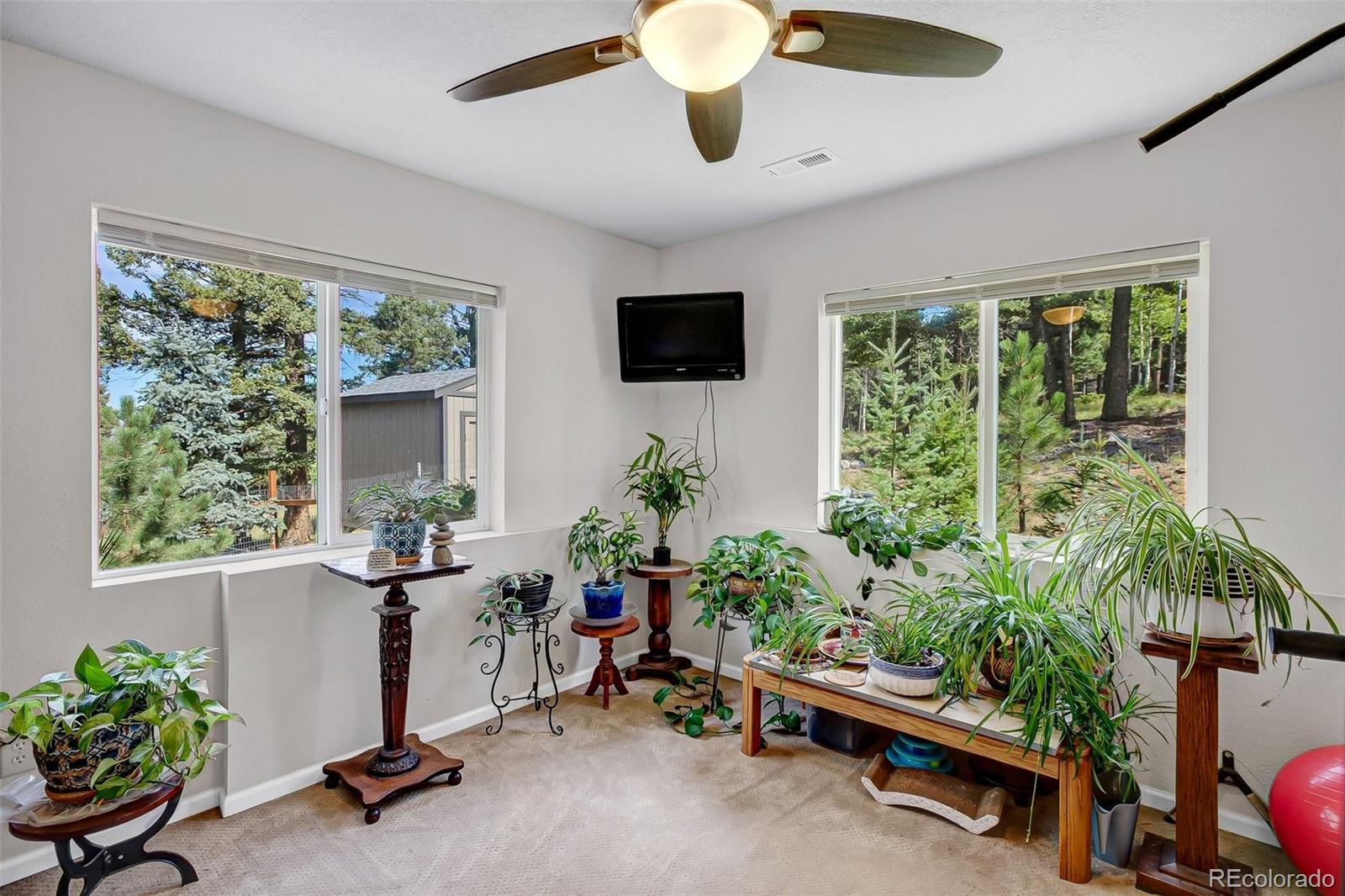 MLS Image #25 for 11  insmont lane,florissant, Colorado