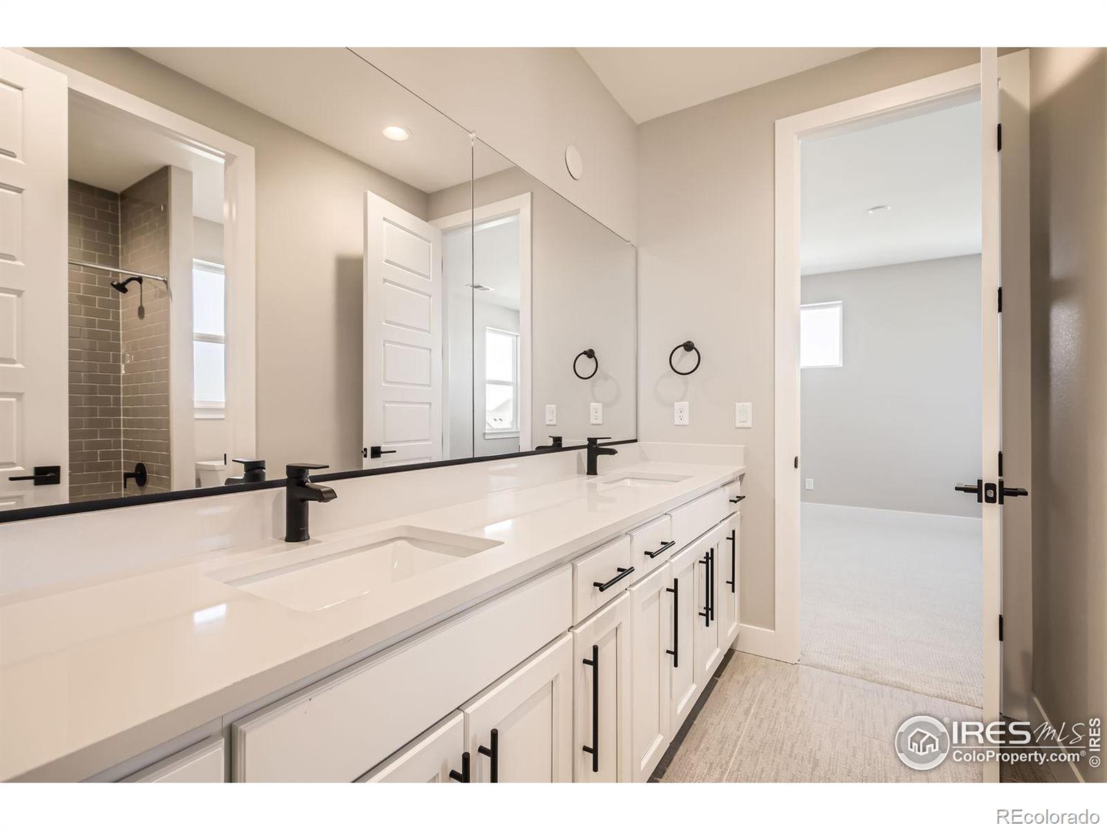 MLS Image #19 for 4320  shivaree court,timnath, Colorado