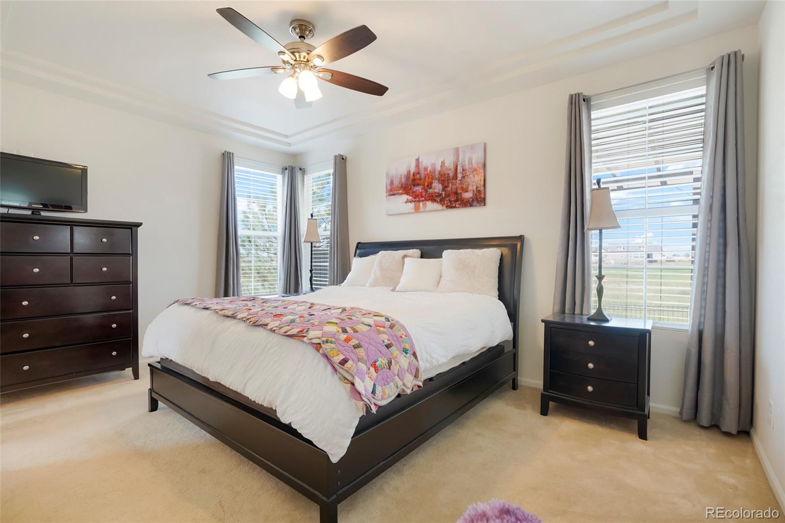 MLS Image #11 for 5183  kirk court,denver, Colorado