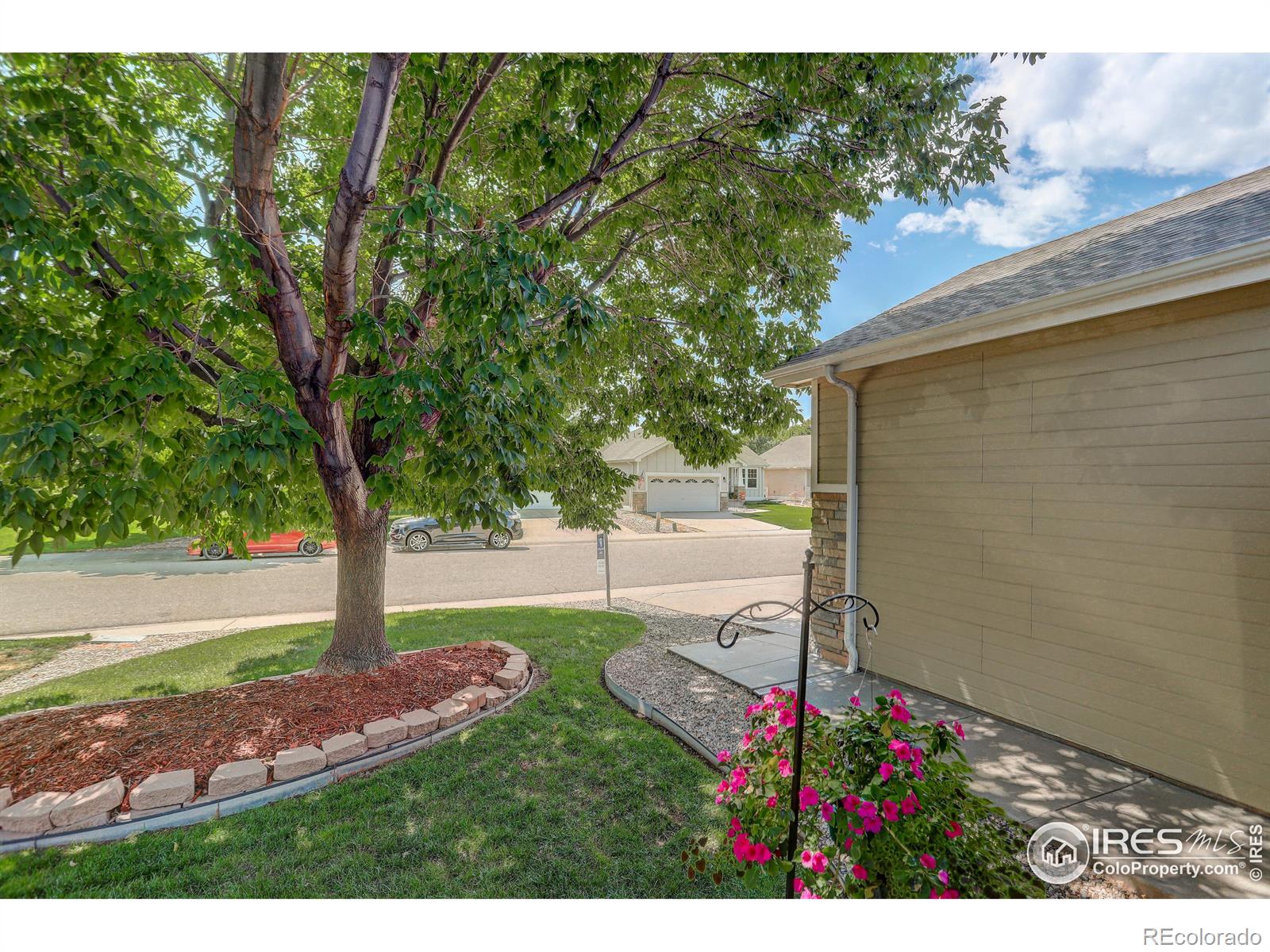 MLS Image #2 for 1351  6th street,loveland, Colorado