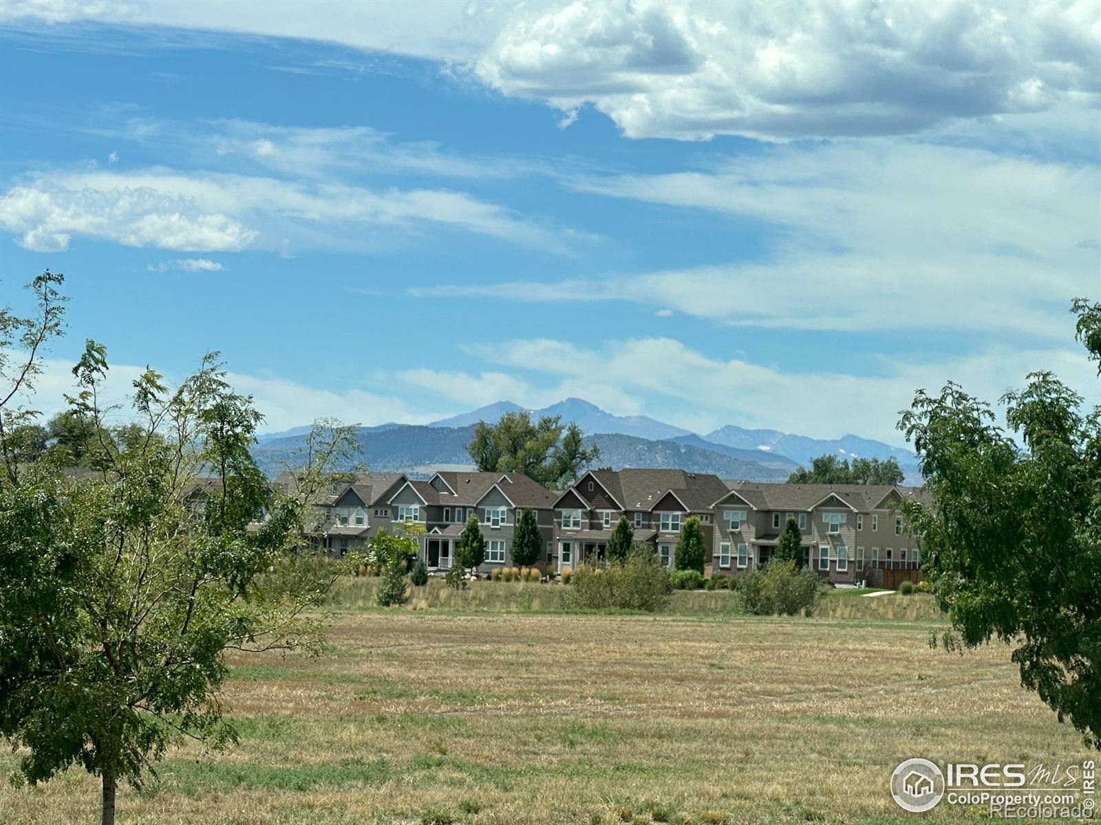 MLS Image #10 for 2932  sykes drive,fort collins, Colorado