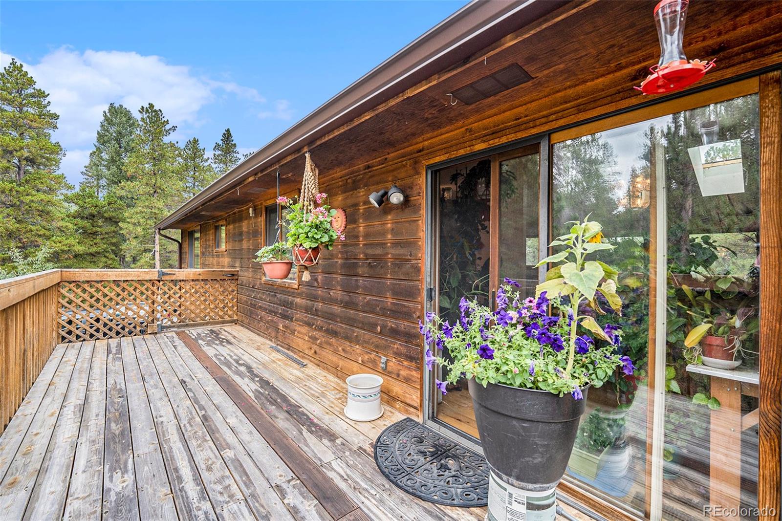 MLS Image #4 for 930  lodge pole drive,black hawk, Colorado