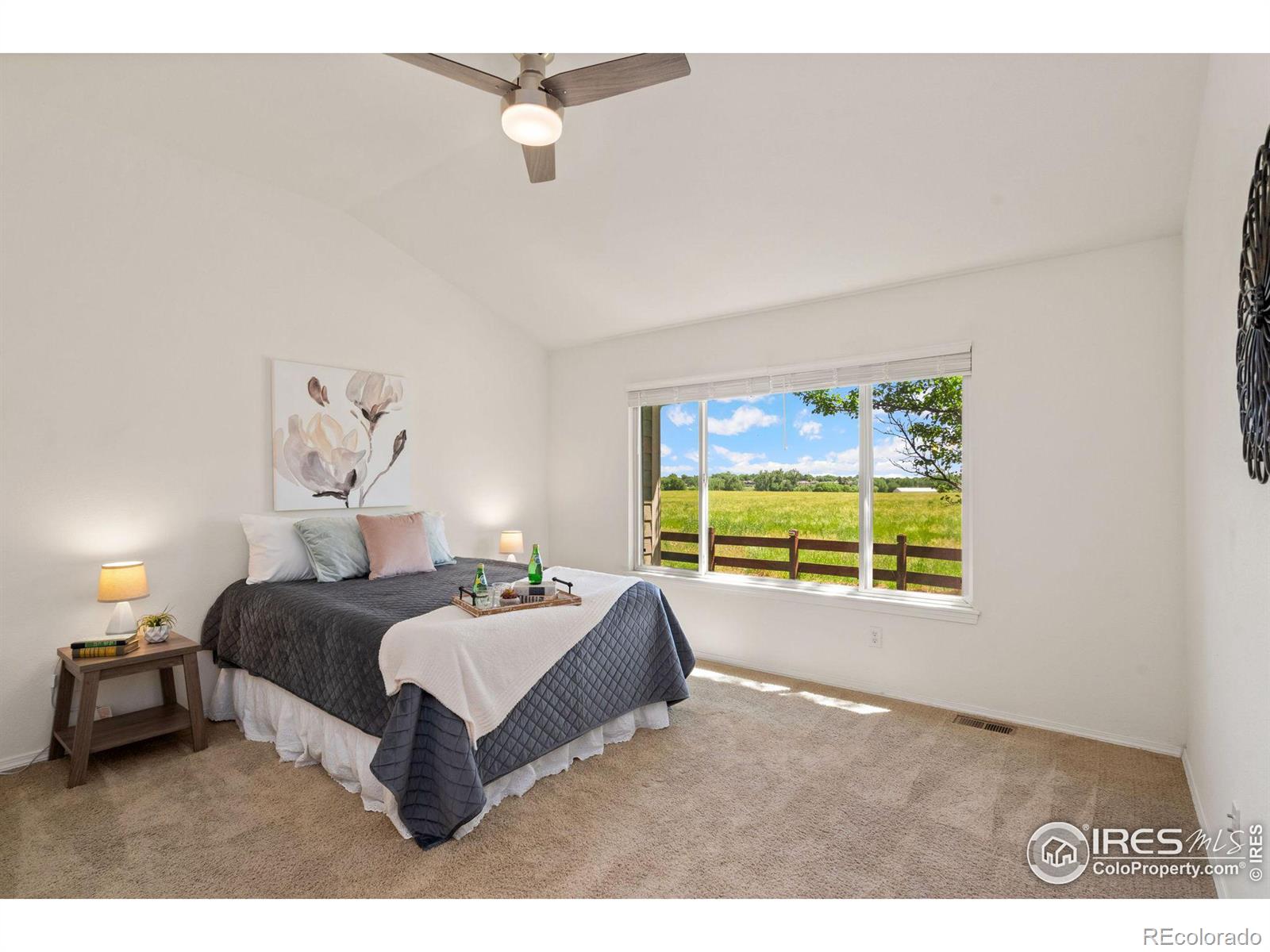 MLS Image #10 for 4009  don fox circle,loveland, Colorado