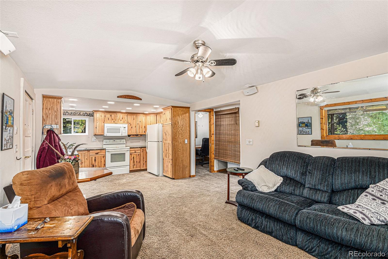 MLS Image #8 for 11123  twin spruce road,golden, Colorado