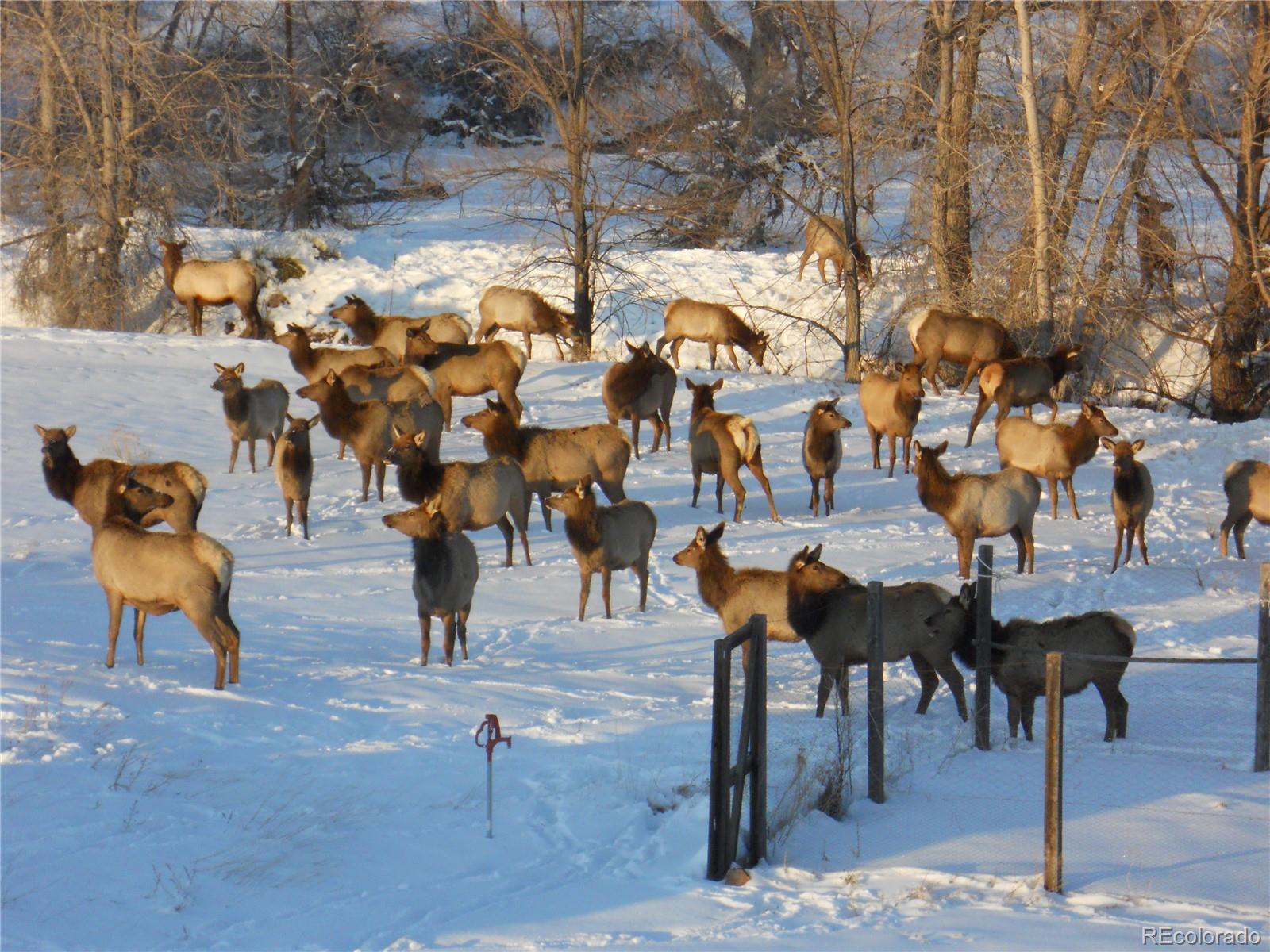 MLS Image #39 for 7612 w county road 20 ,loveland, Colorado