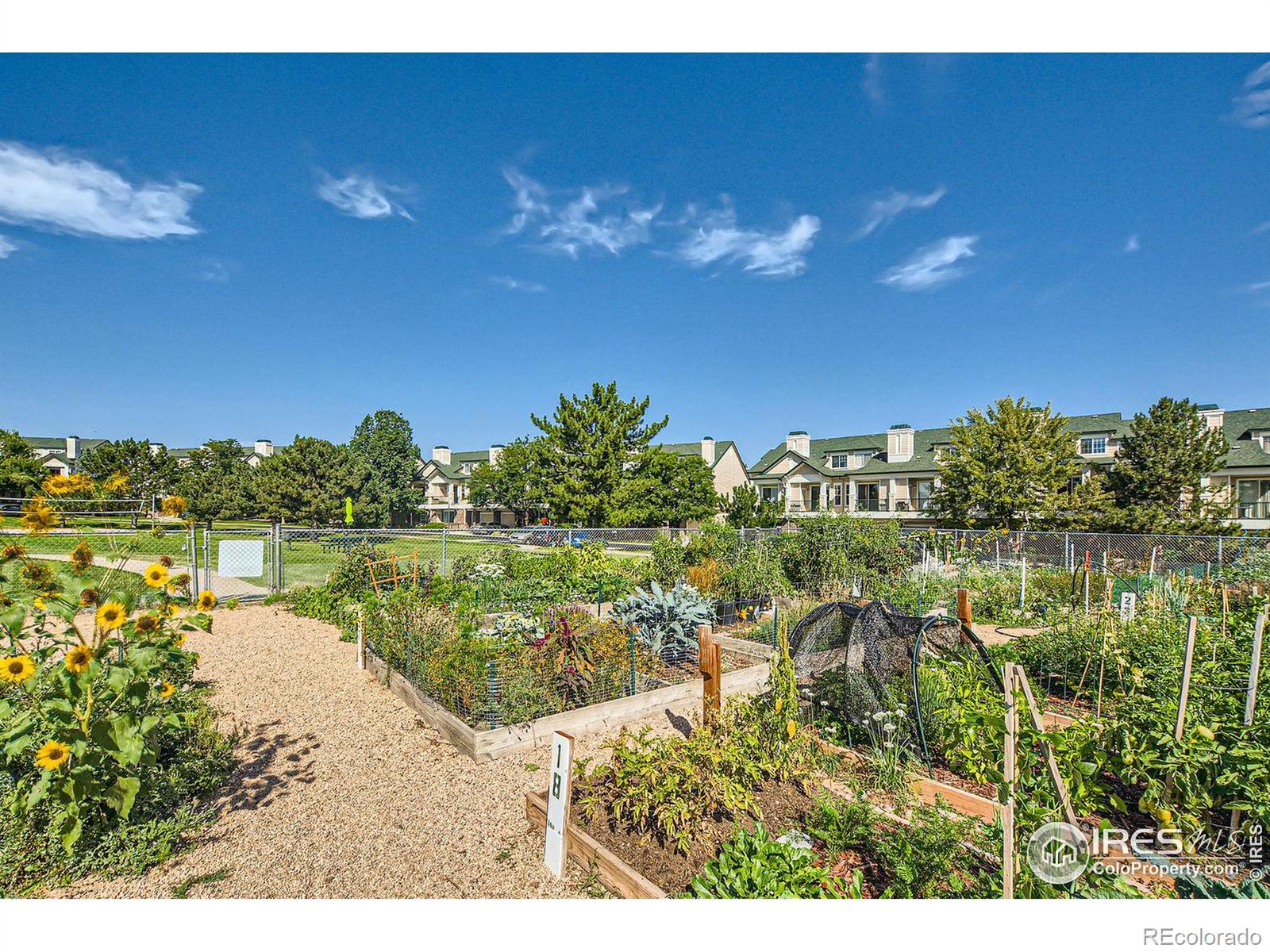 MLS Image #21 for 2134  concord lane,superior, Colorado