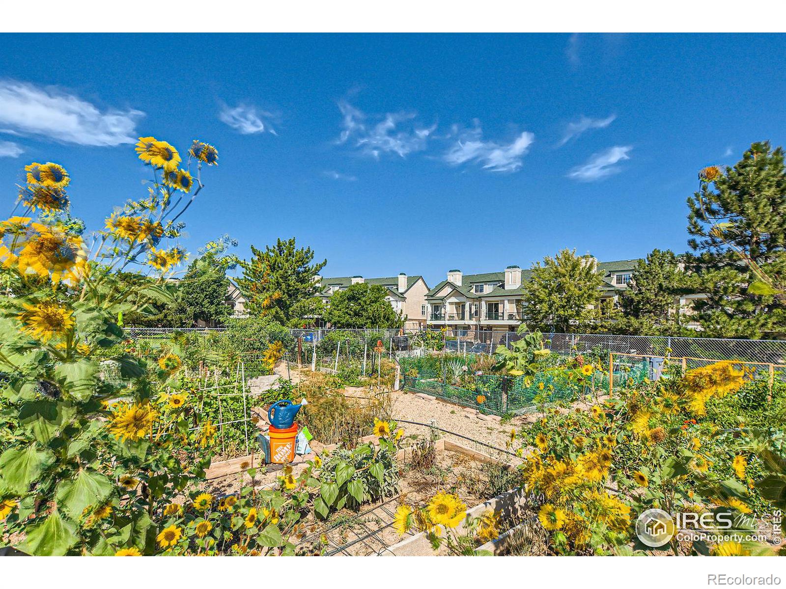 MLS Image #22 for 2134  concord lane,superior, Colorado