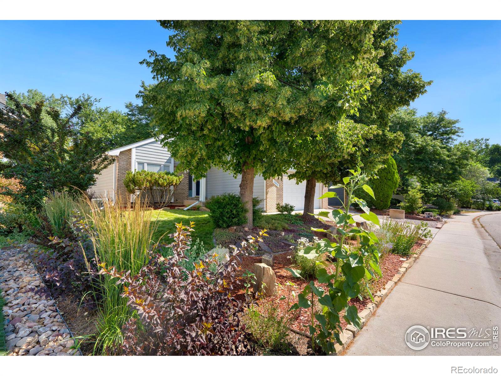 MLS Image #3 for 1006  bramblebush street,fort collins, Colorado