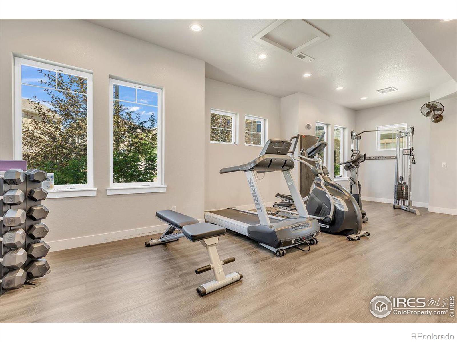 MLS Image #23 for 4622  hahns peak drive,loveland, Colorado